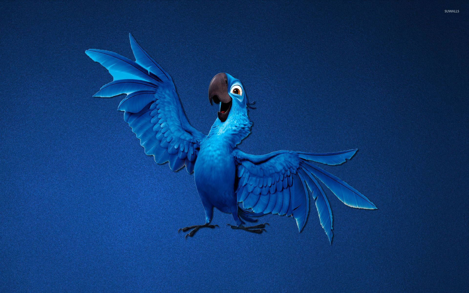 Rio Blu Wings Out Background