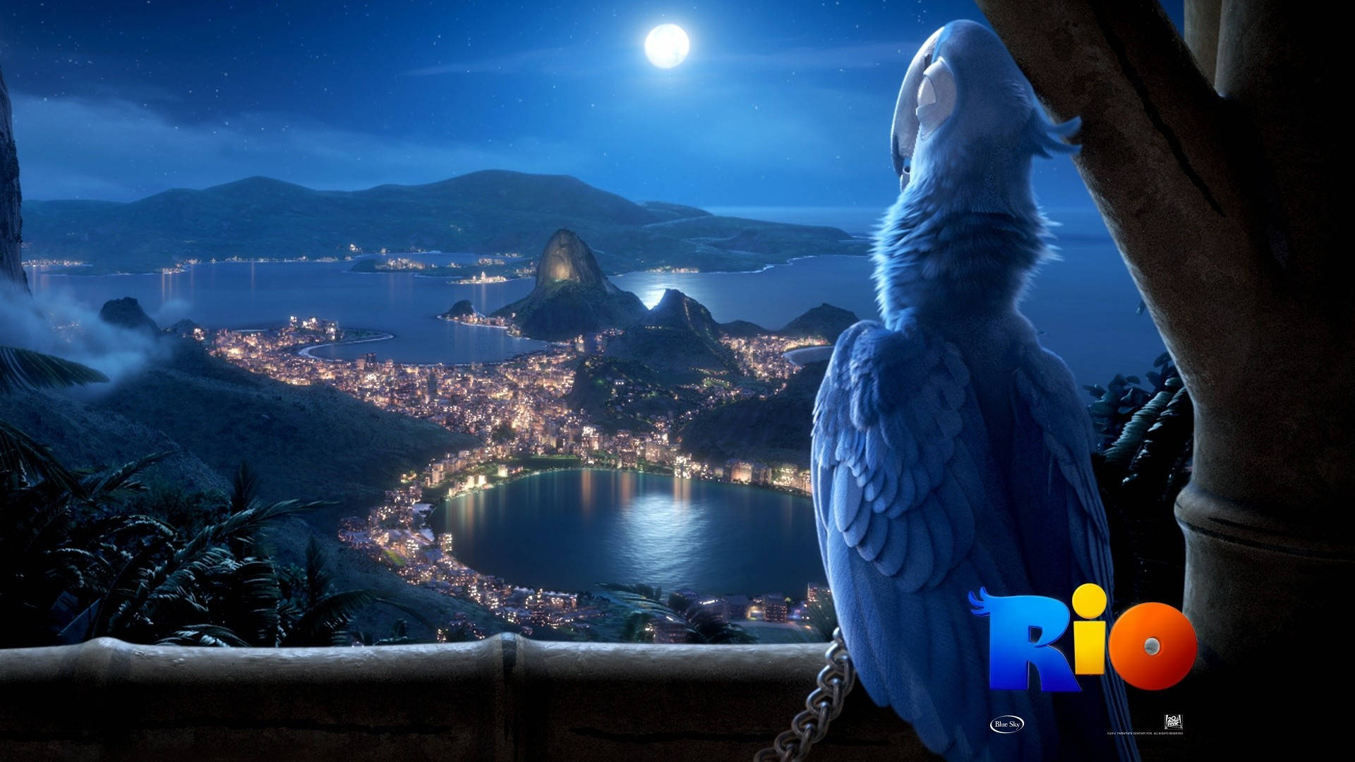 Rio Blue Staring Out Over City Background