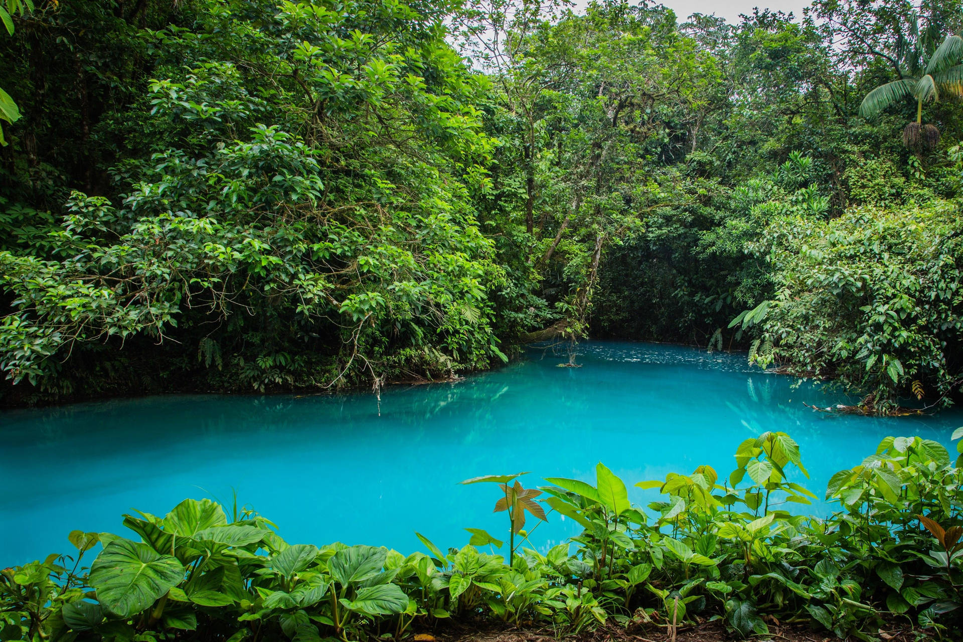 Rio Celeste Costa Rica Background