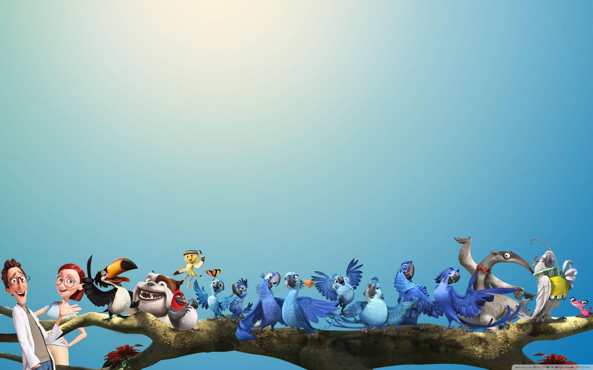 Rio Characters Blue Gradient Background Background