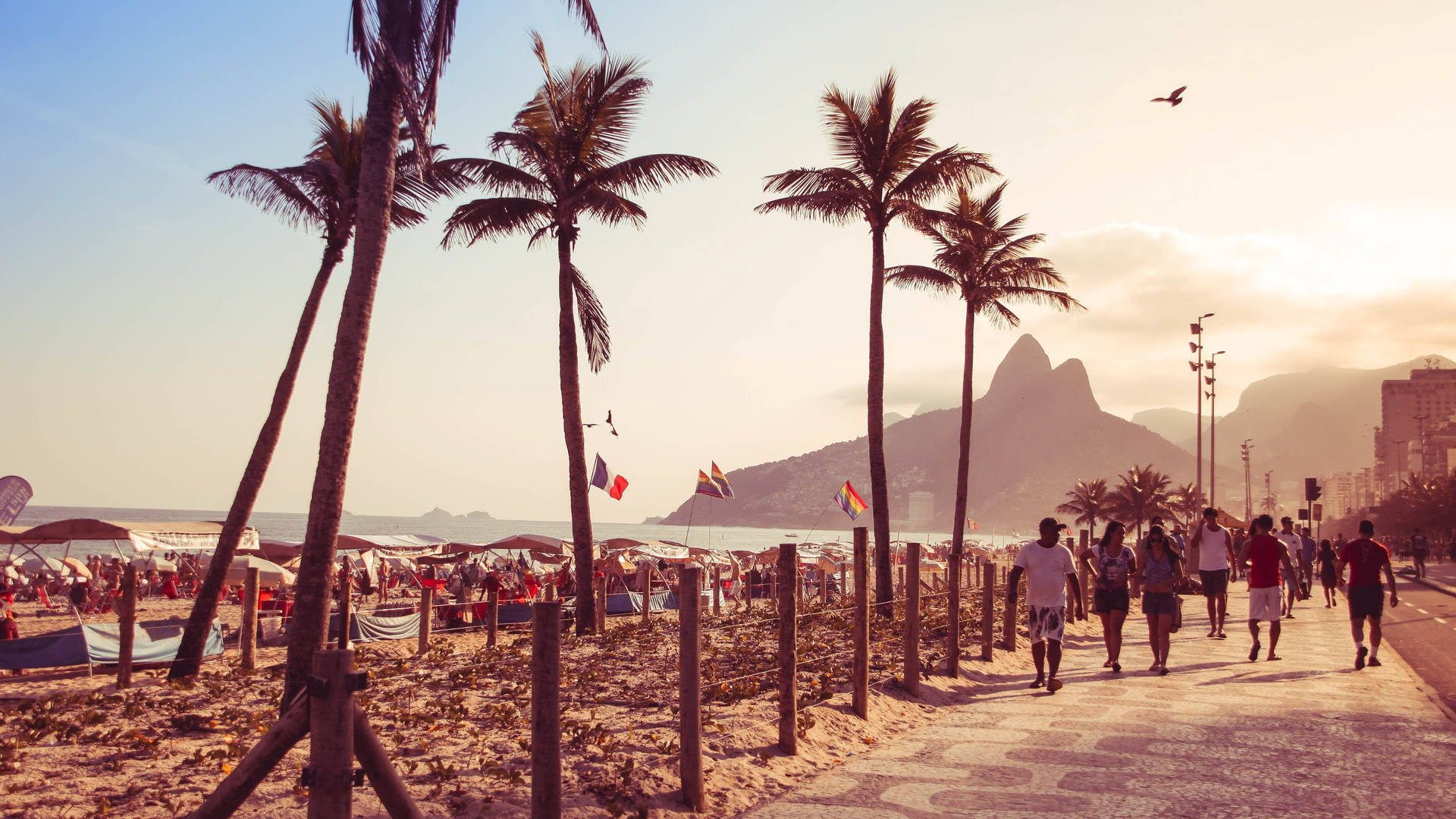 Rio De Janeiro Beach Palm Trees Background