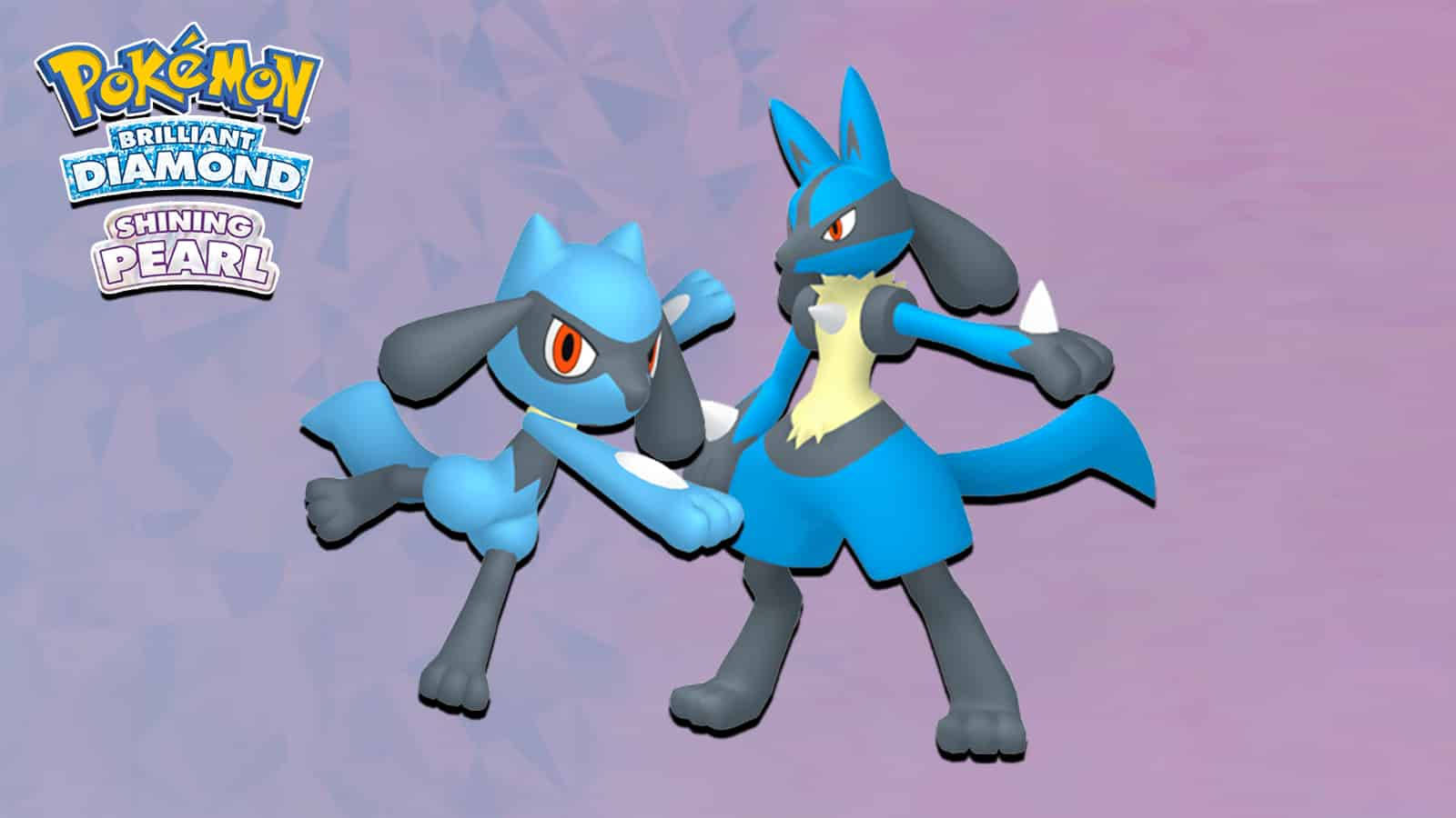 Riolu And Lucario 3d