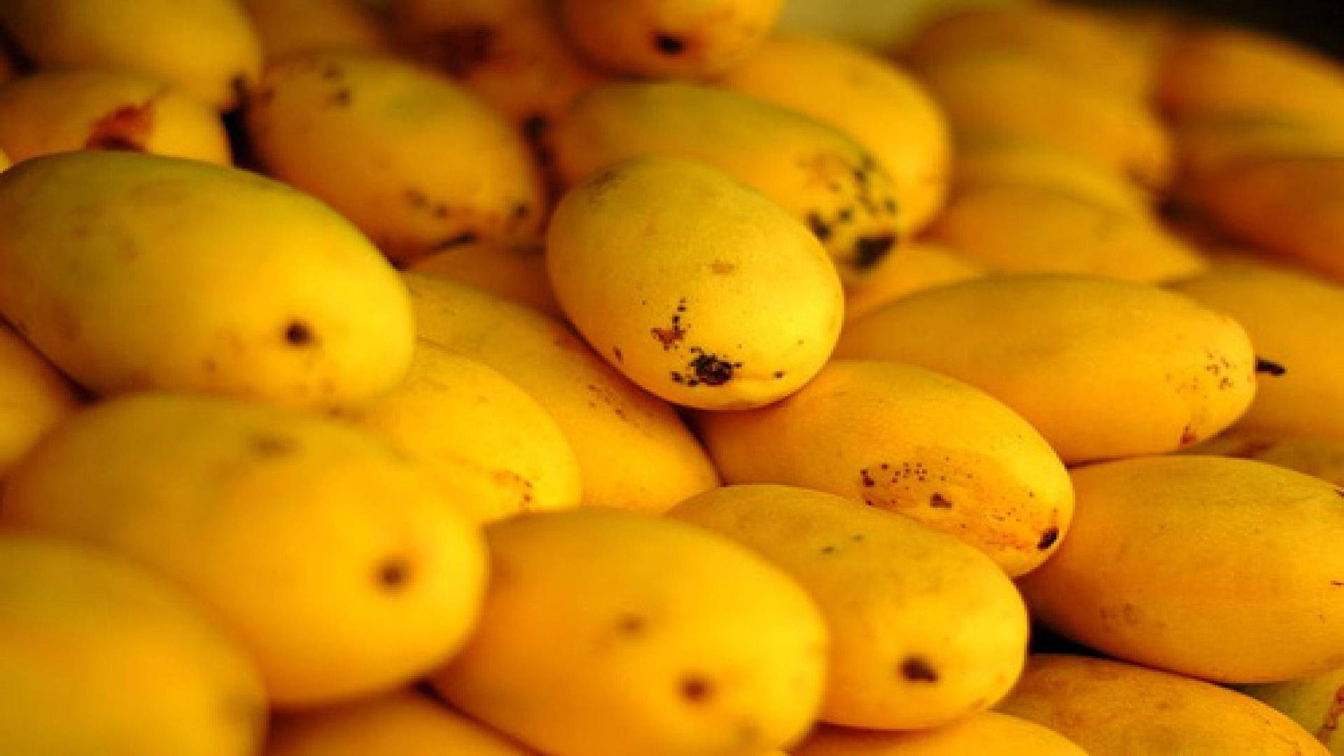 Ripe And Fresh Mango Fruits Background