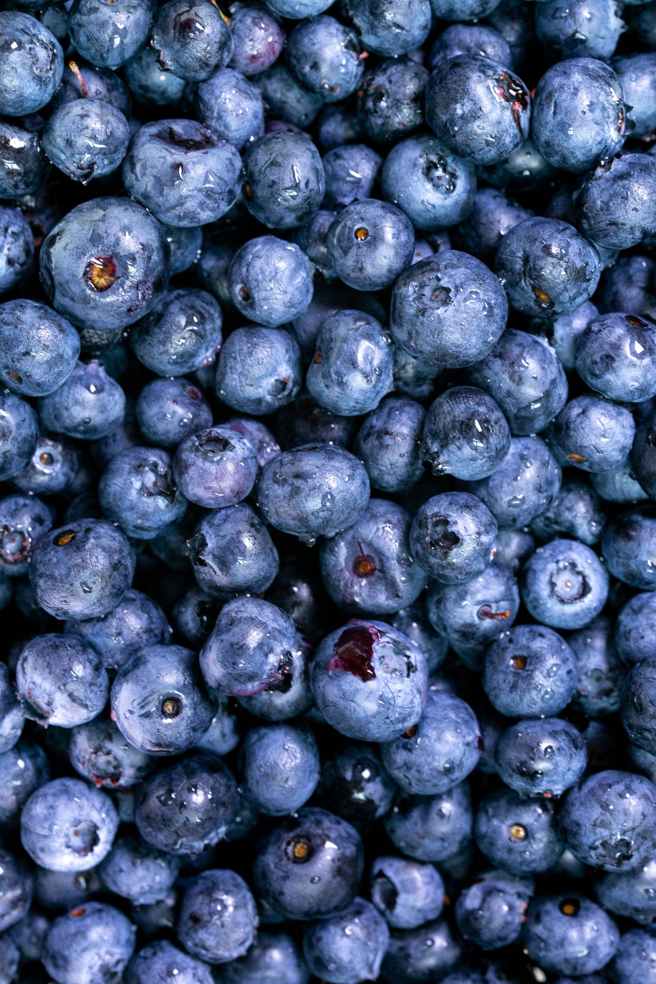 Ripe And Plump Blueberries Background