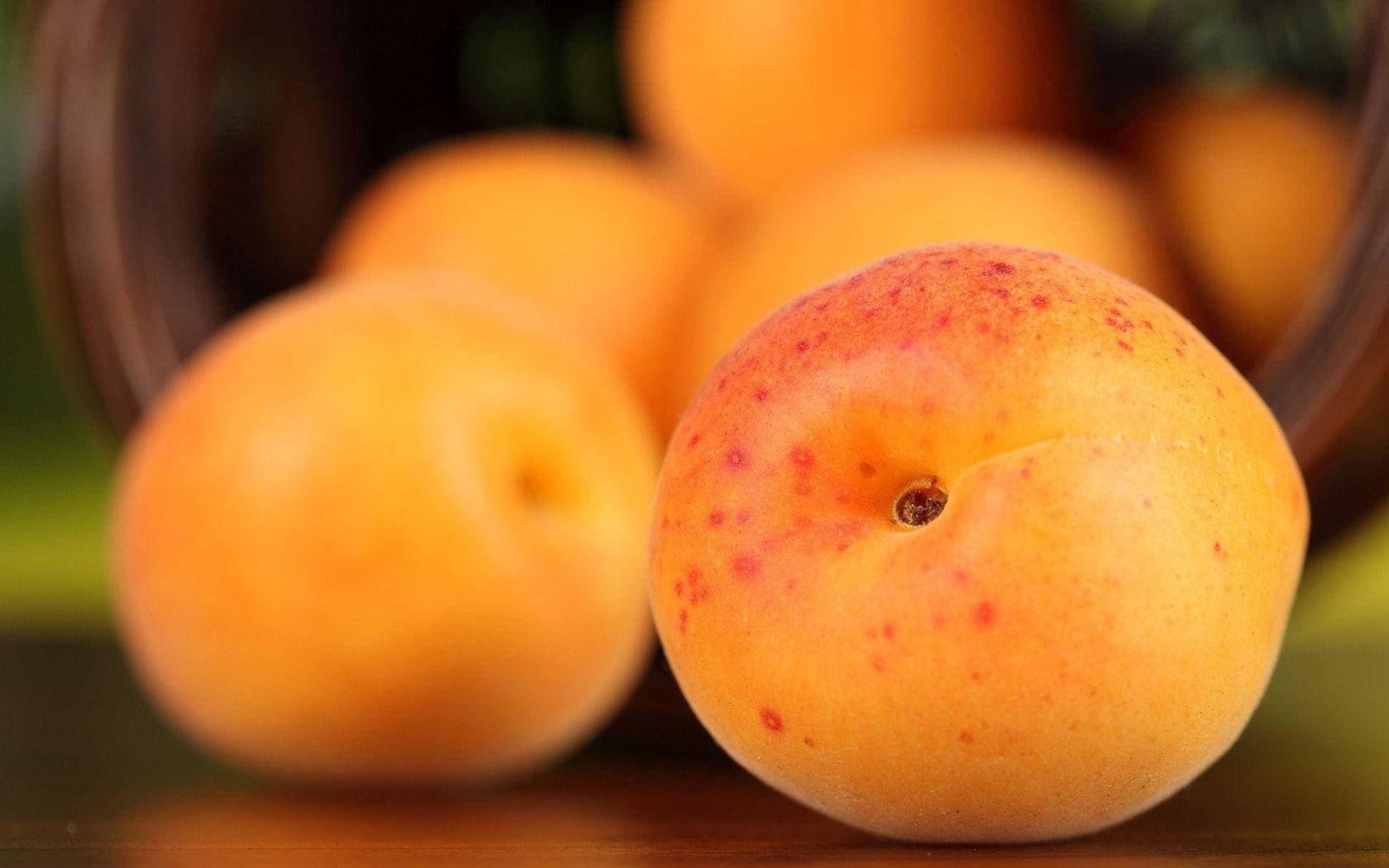 Ripe Apricot Fruits On Red Dotted Background