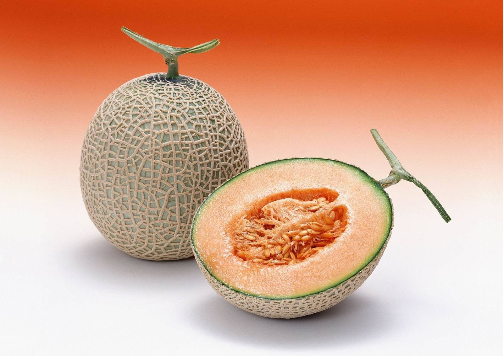 Ripe Cantaloupe