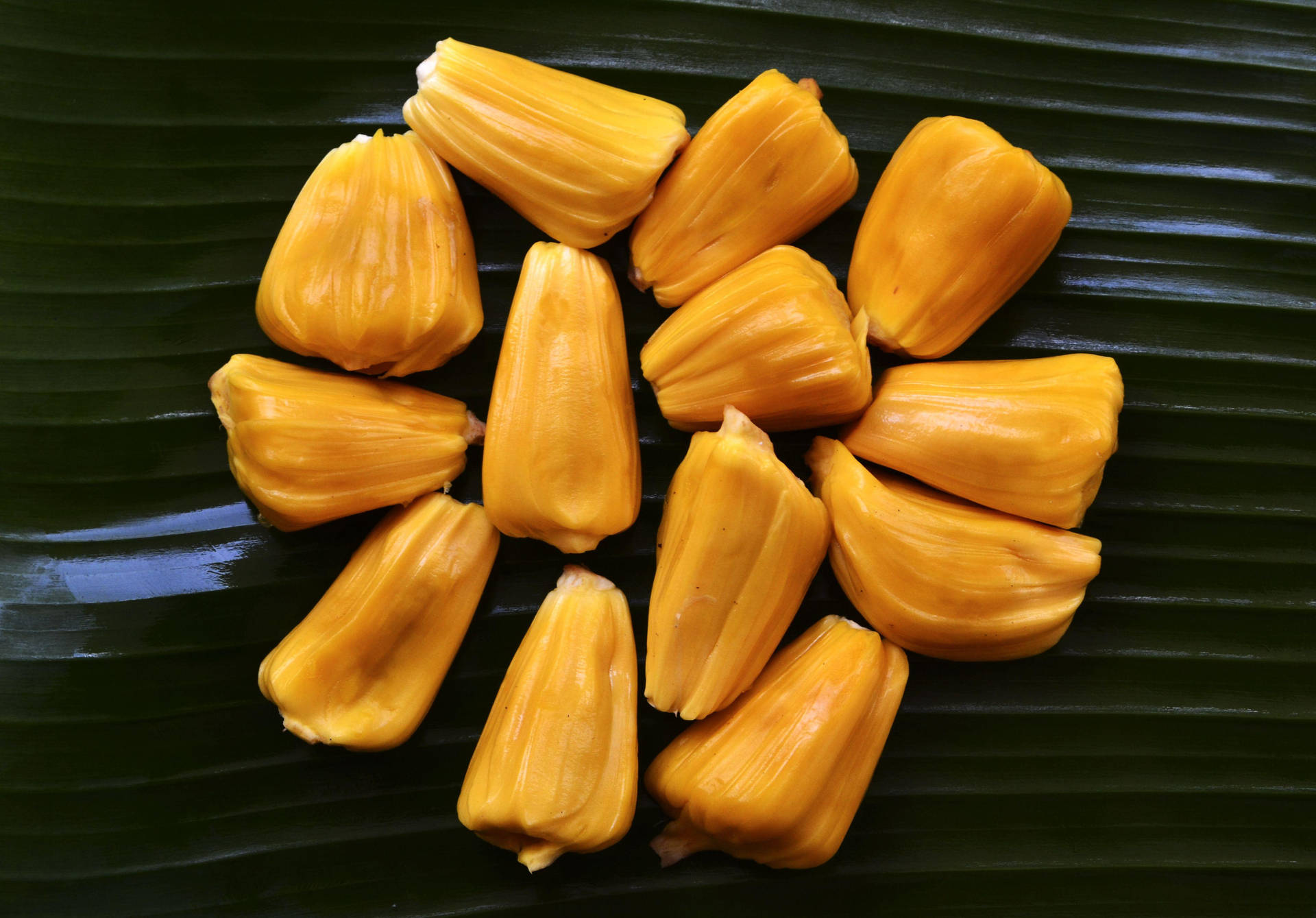 Ripe Jackfruit Pods Background