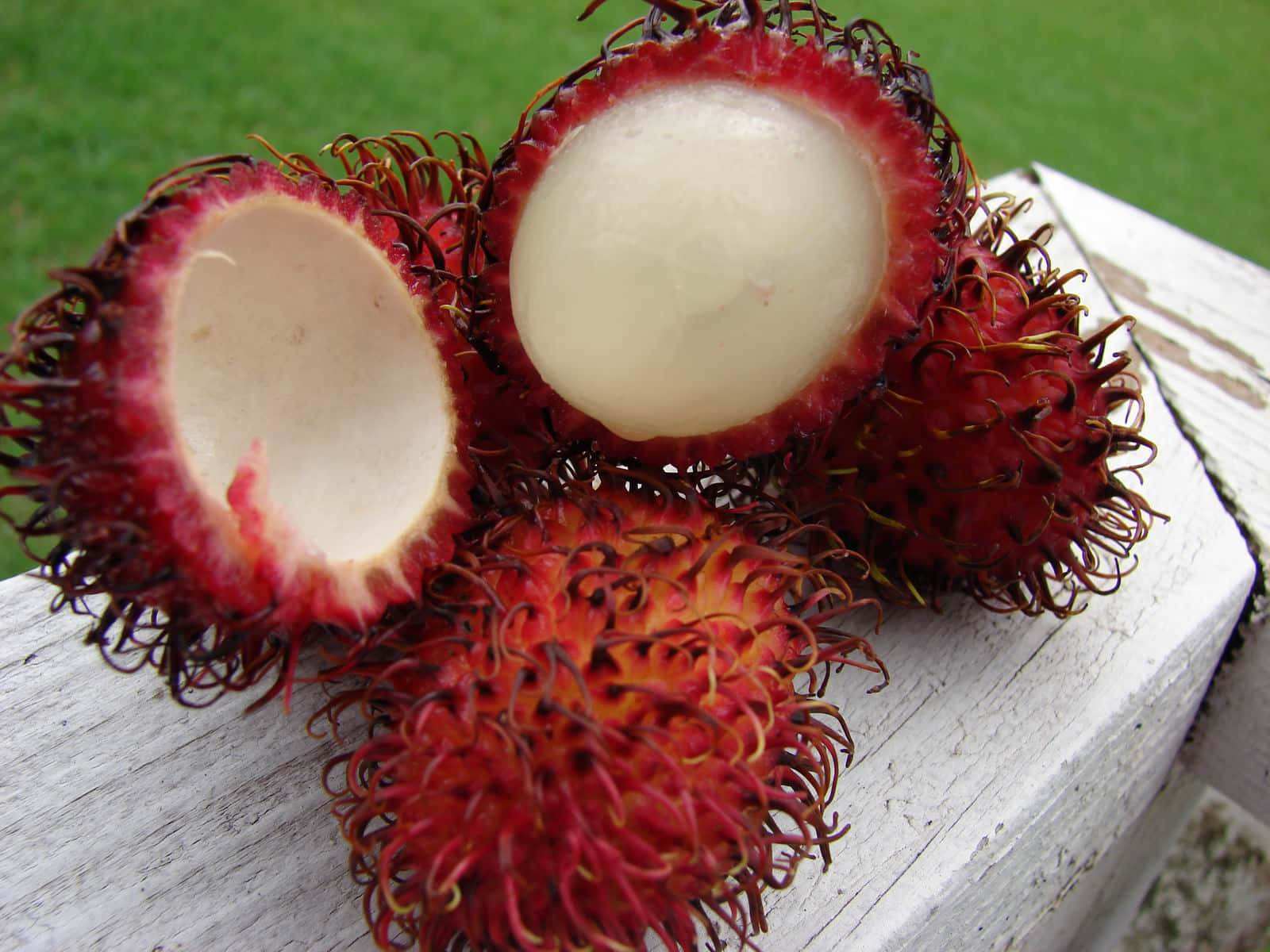 Ripe Pulasan Fruit Slice