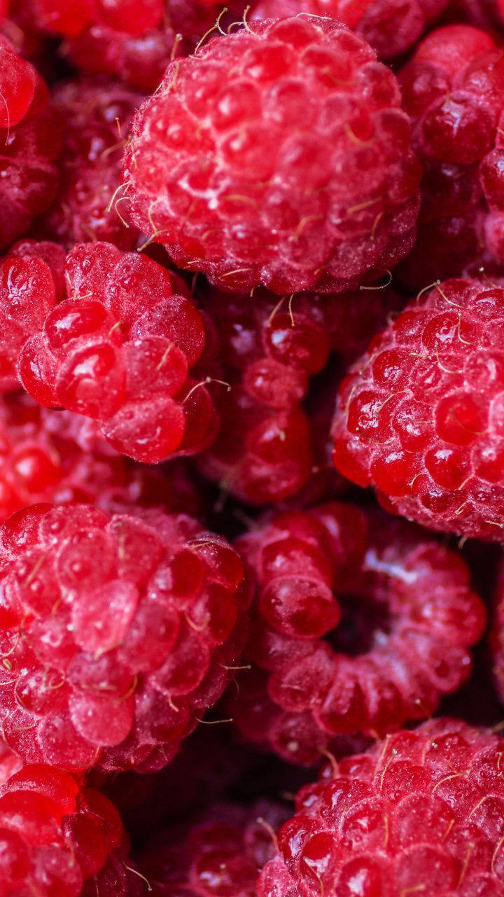 Ripe Red Raspberries