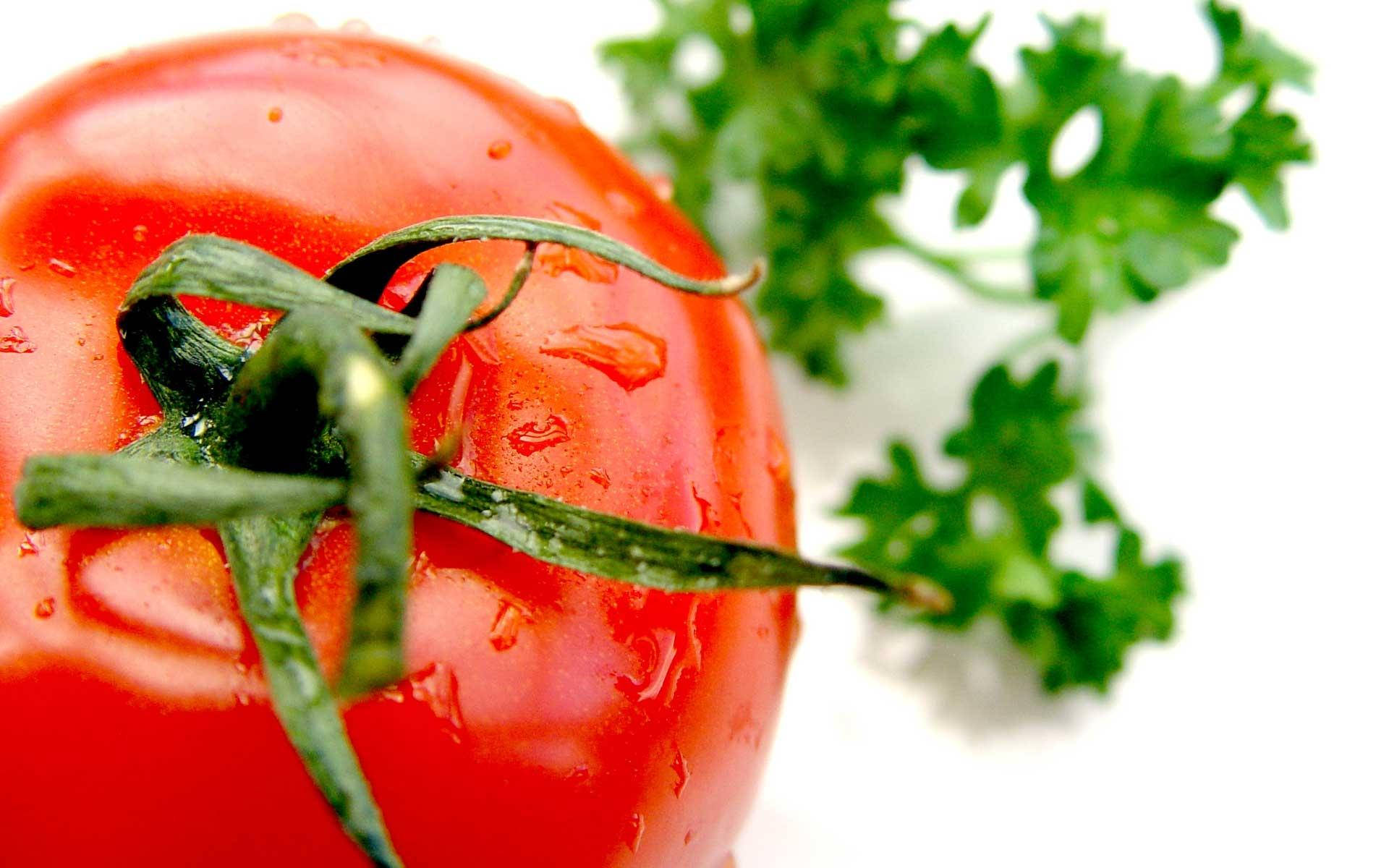 Ripe Red Tomato Macro Shot Background