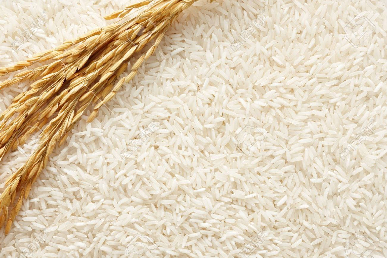 Ripe Sprig Of Rice Background