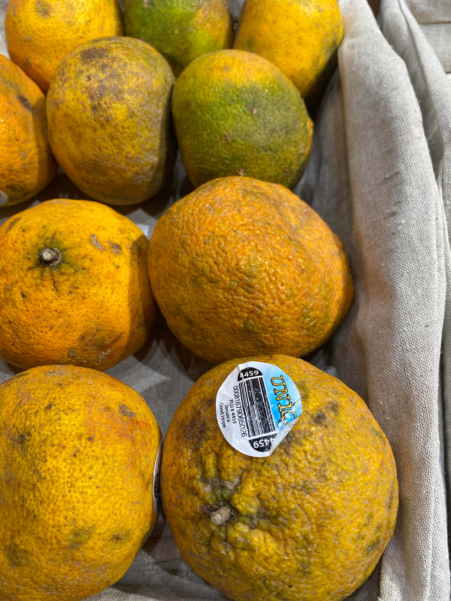 Ripe Yellow Ugli Citrus Fruits Background