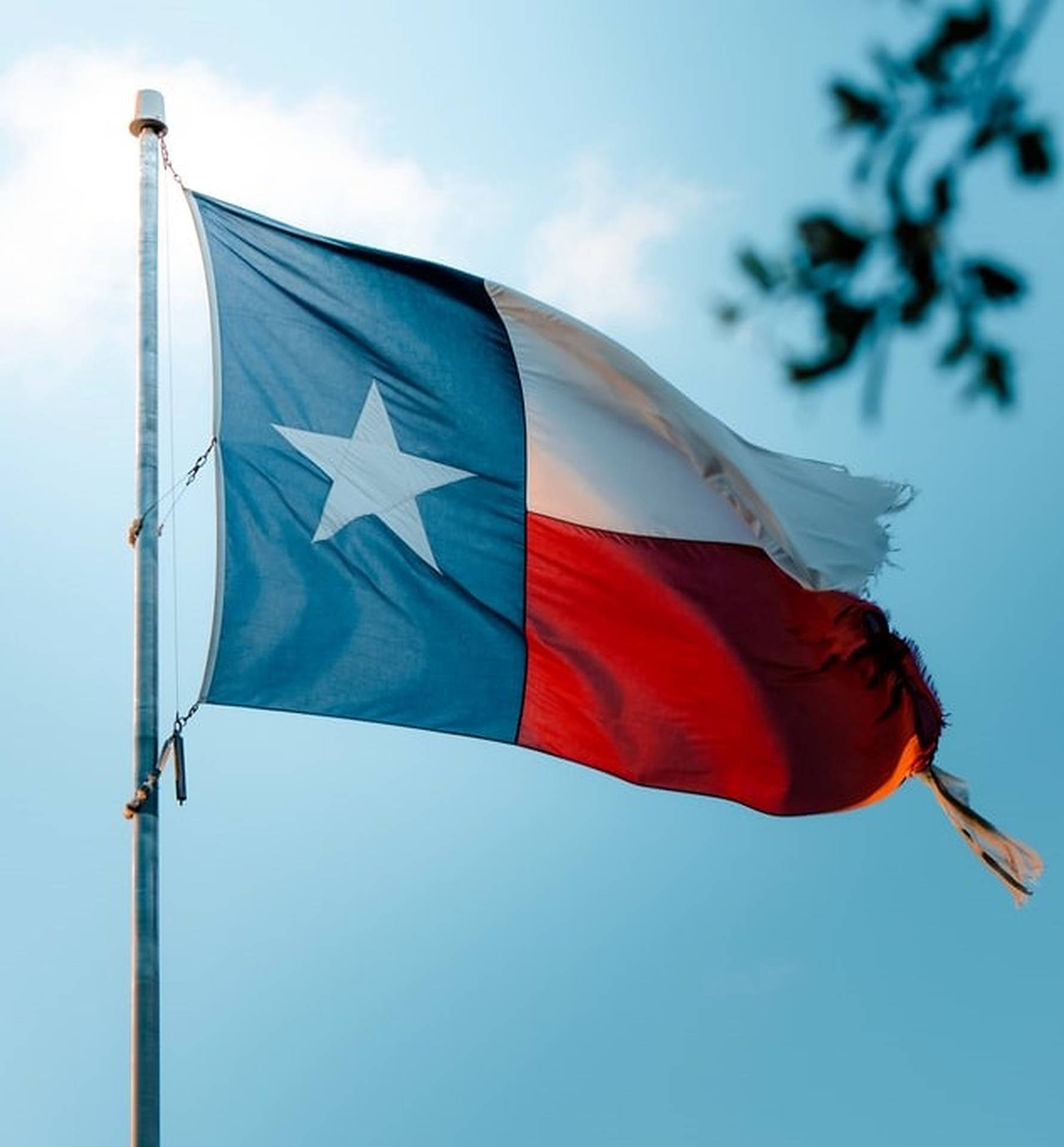 Ripped Texas Flag