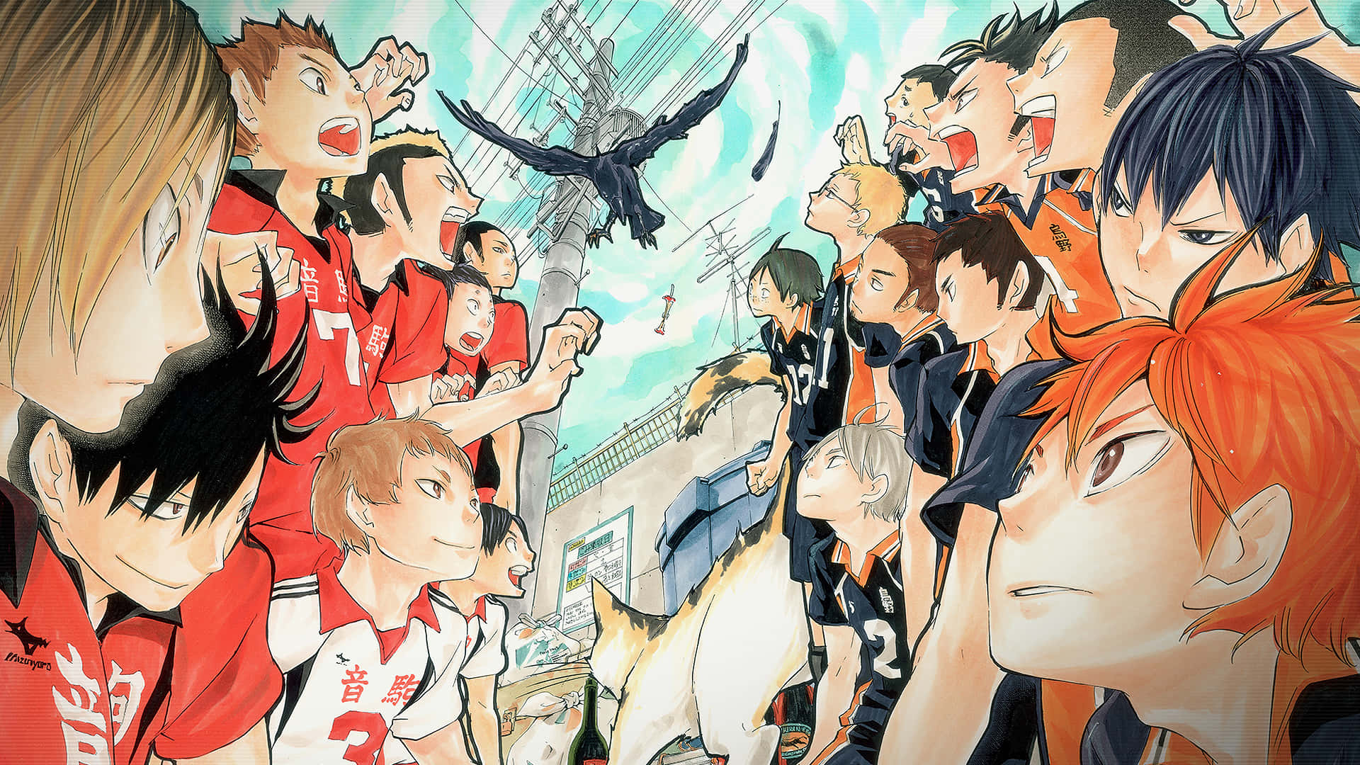 Rise And Shine, Karasuno High School! Background
