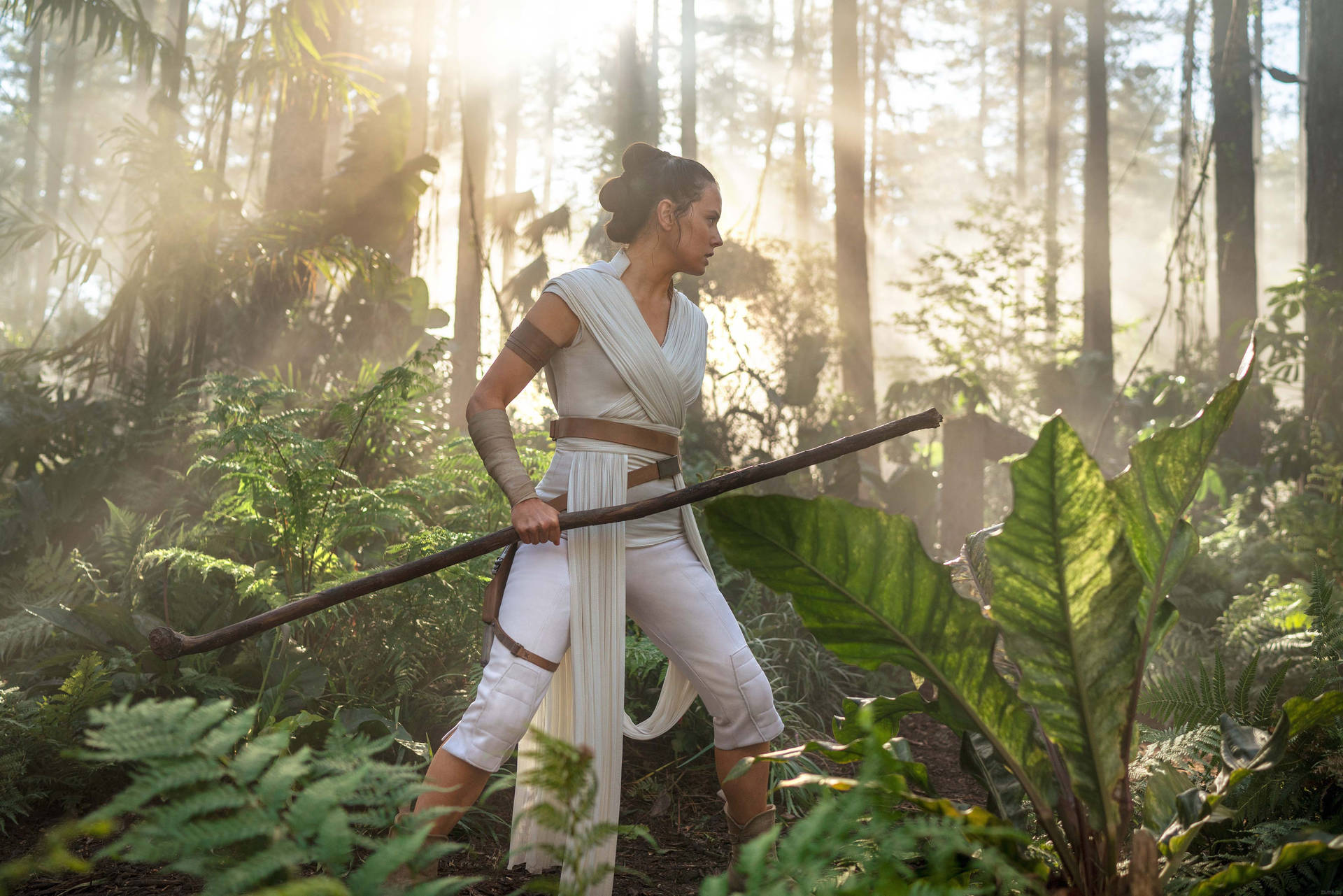 Rise Of Skywalker Rey At Forest Background