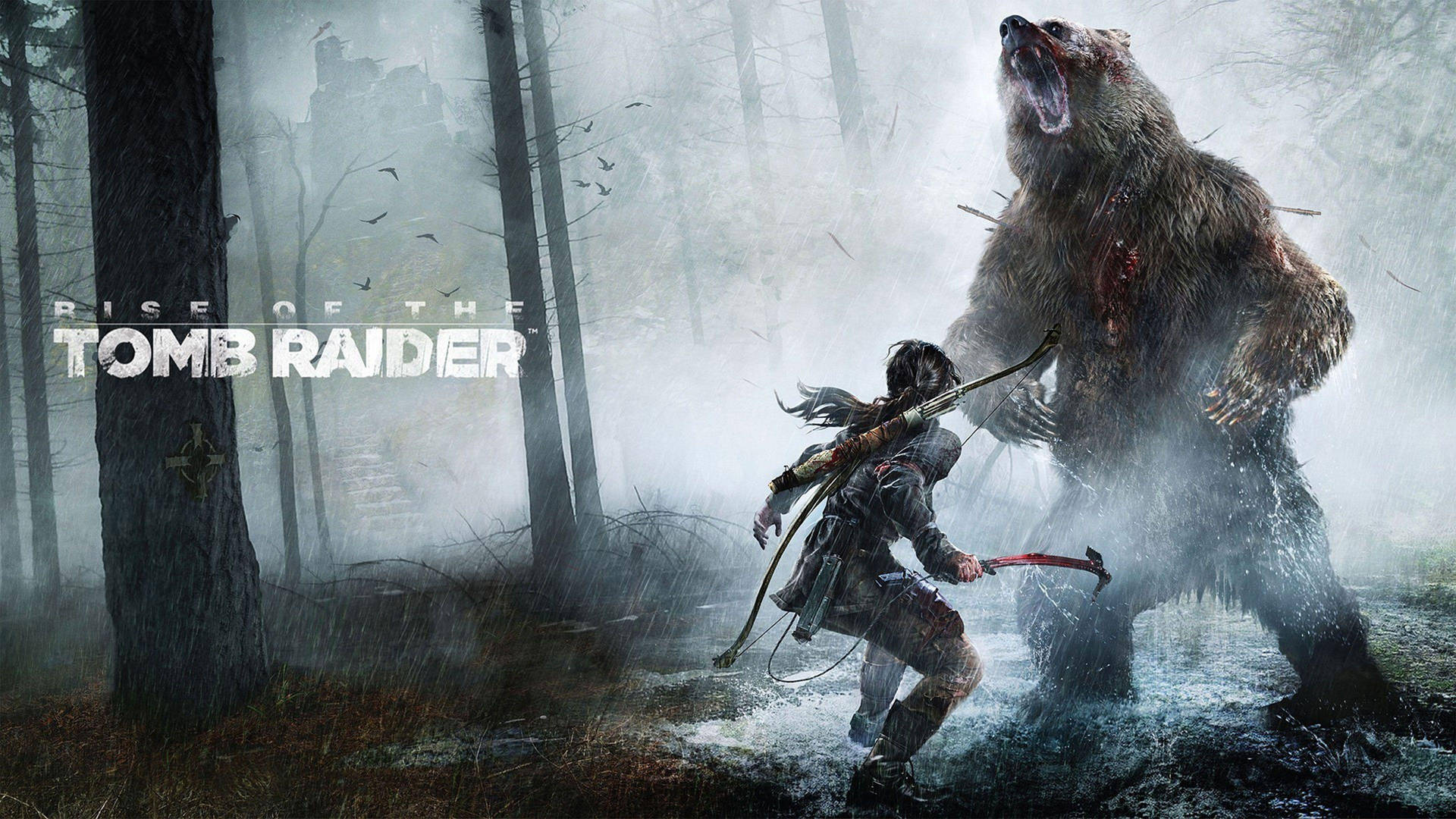 Rise Of The Tomb Raider Game Background