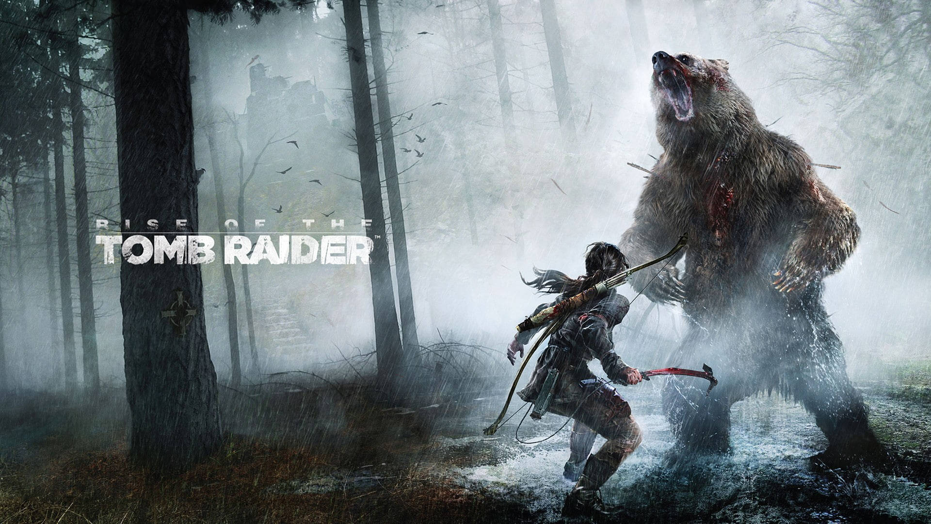 Rise Of The Tomb Raider Lara Bear Encounter Background