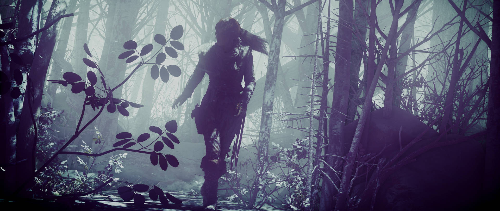 Rise Of The Tomb Raider Lara In The Forest Background
