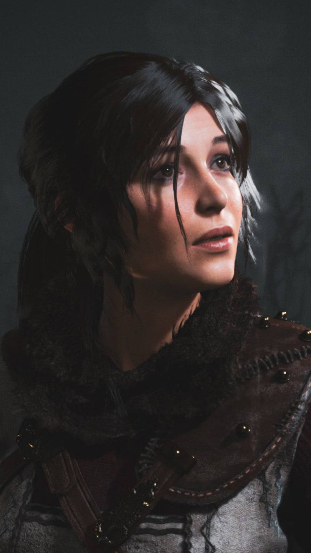 Rise Of The Tomb Raider Main Character Background