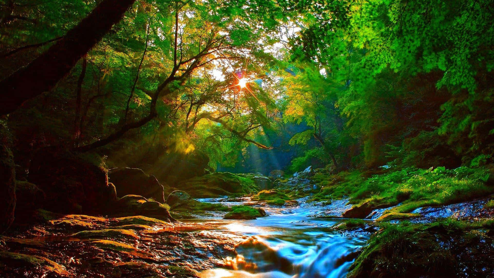 River And Forest Nature Art Painting Background