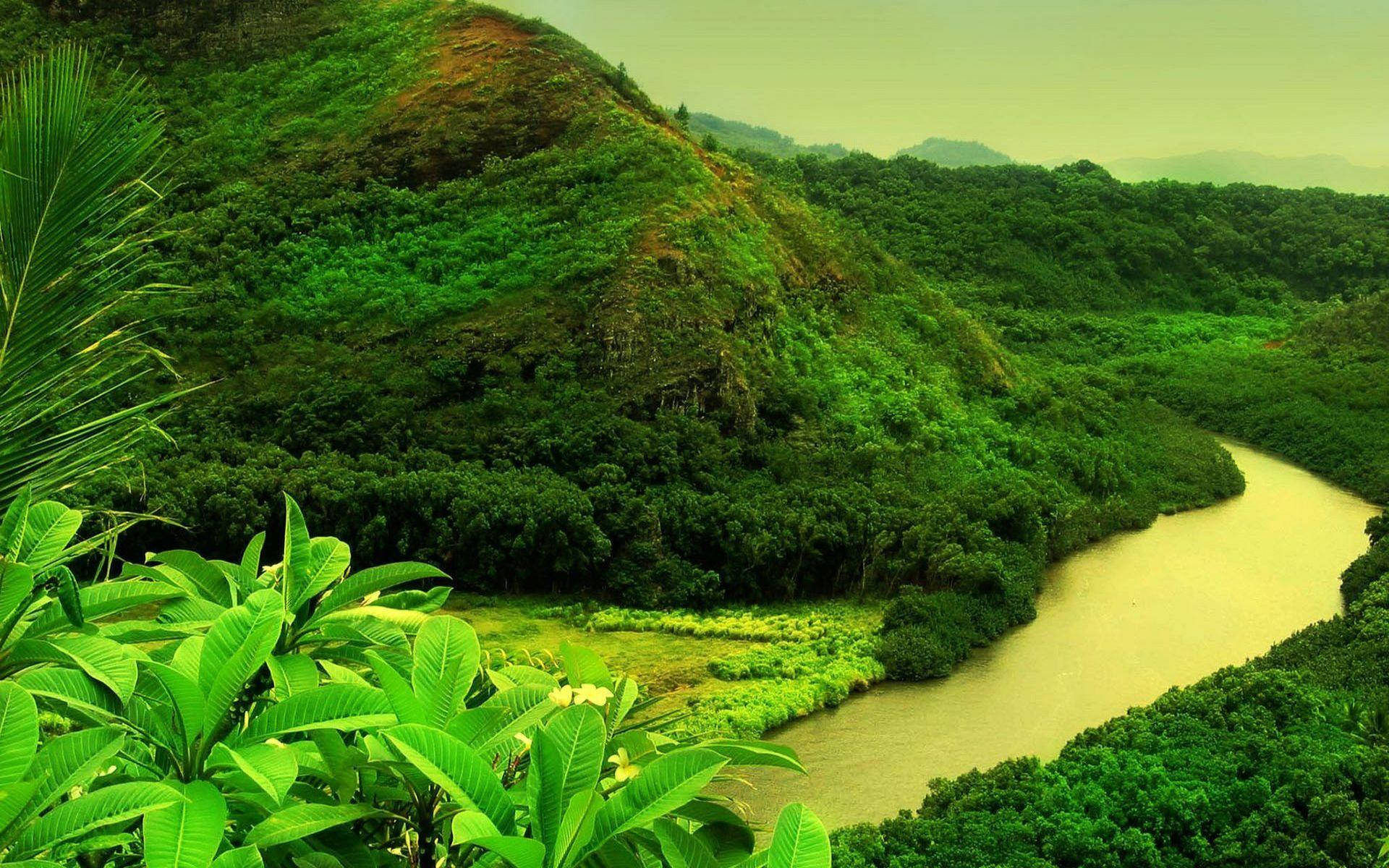 River And Greenery On Mountain Background