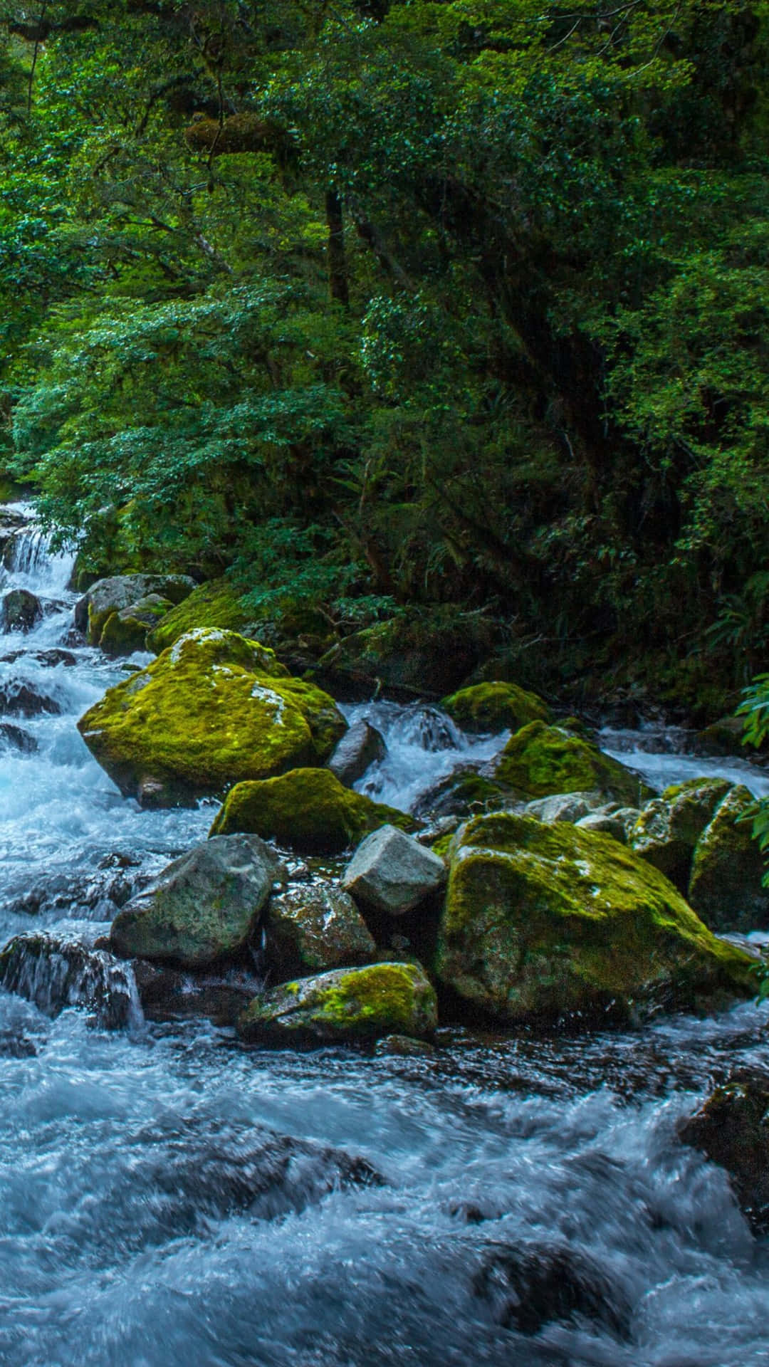 River Fast Current Nature Photography