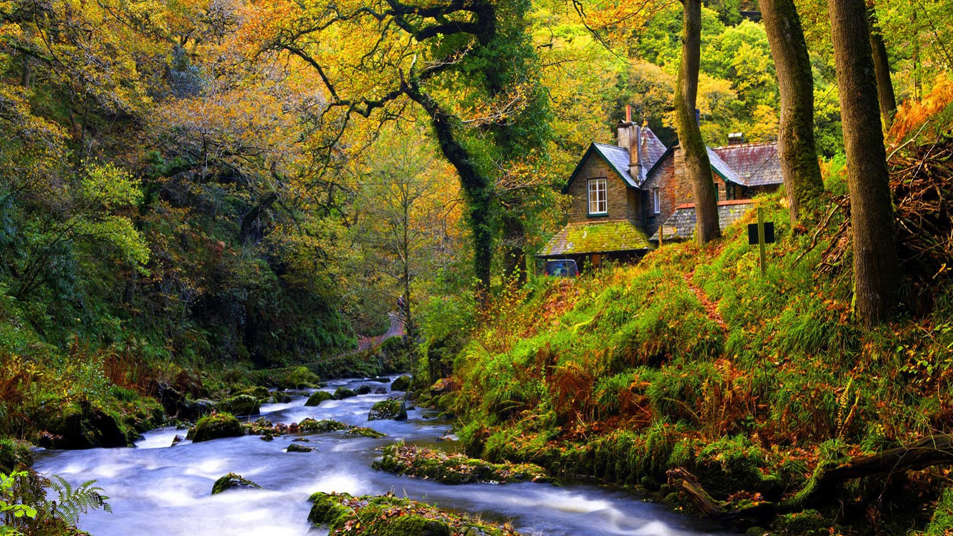 River Forest Cottage Nature Photography