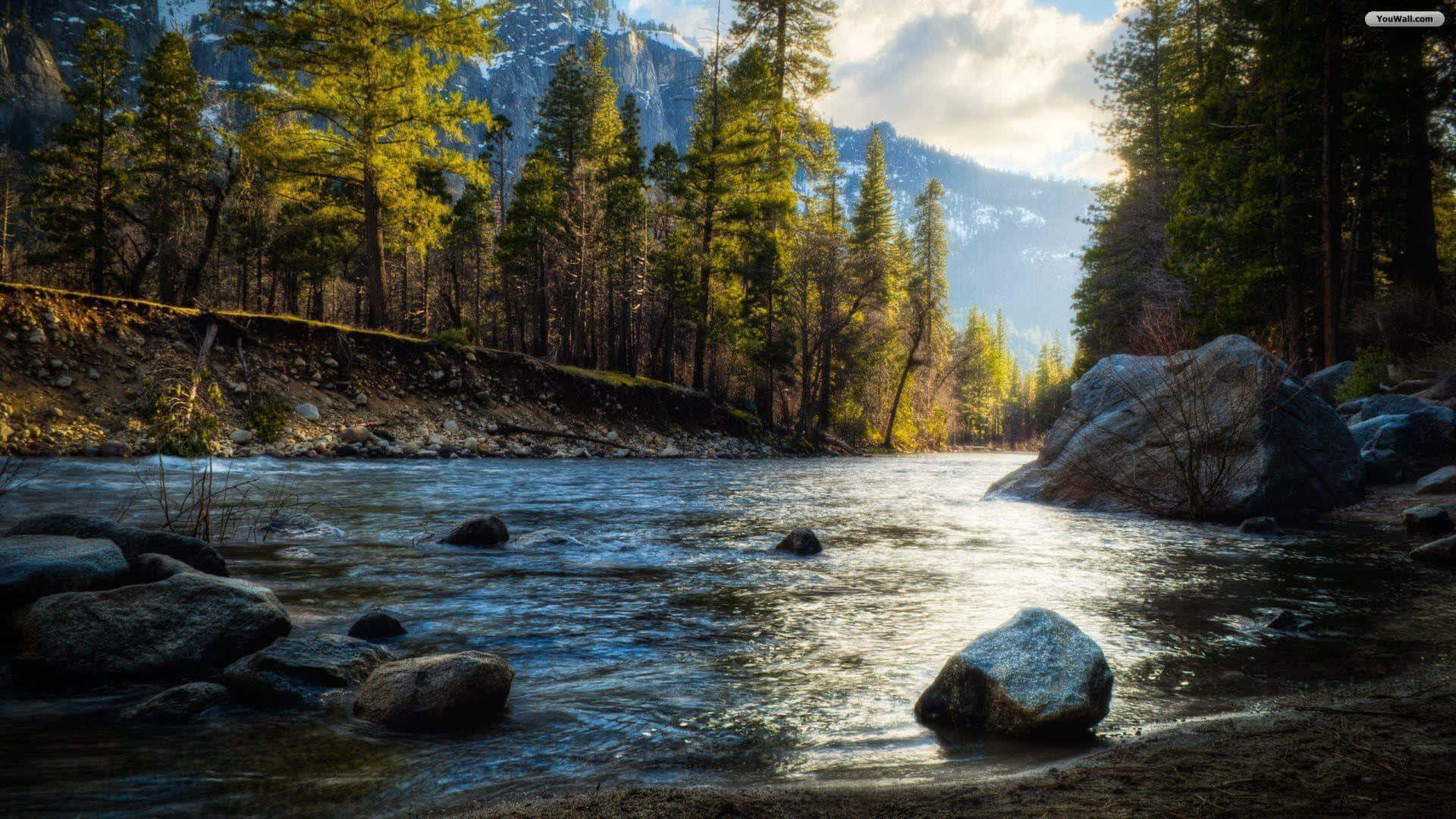 River Golden Hour Nature Photography Background