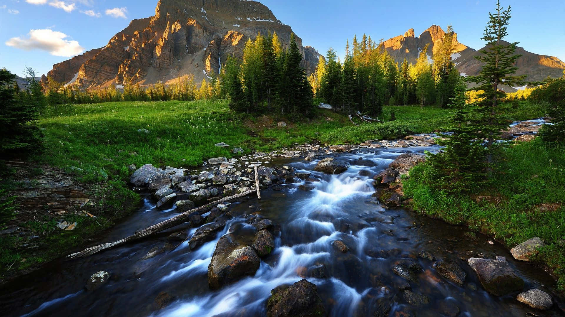 River Green Meadows Nature Photography Background