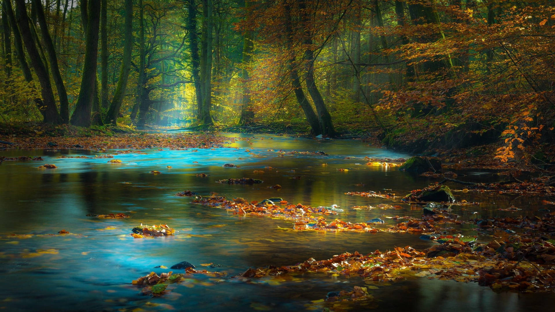 River In Autumn Macbook Background