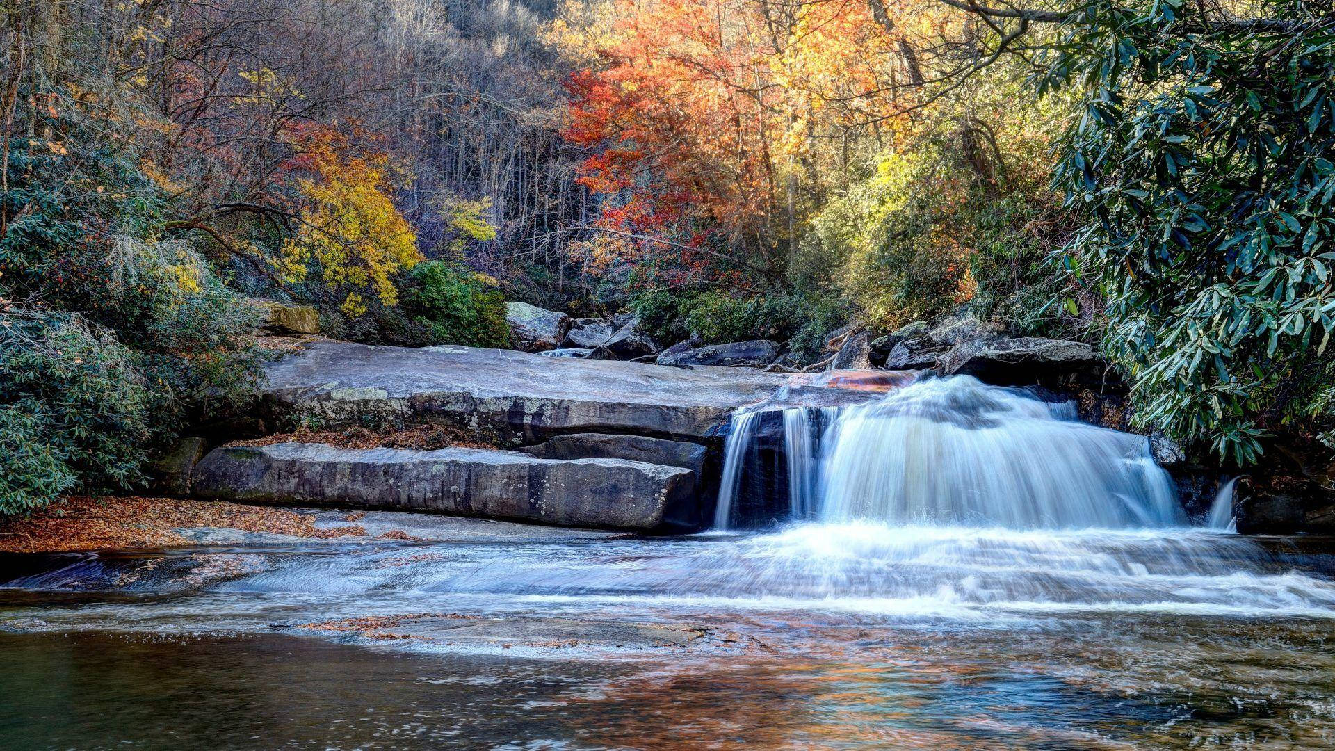 River In South Carolina Background