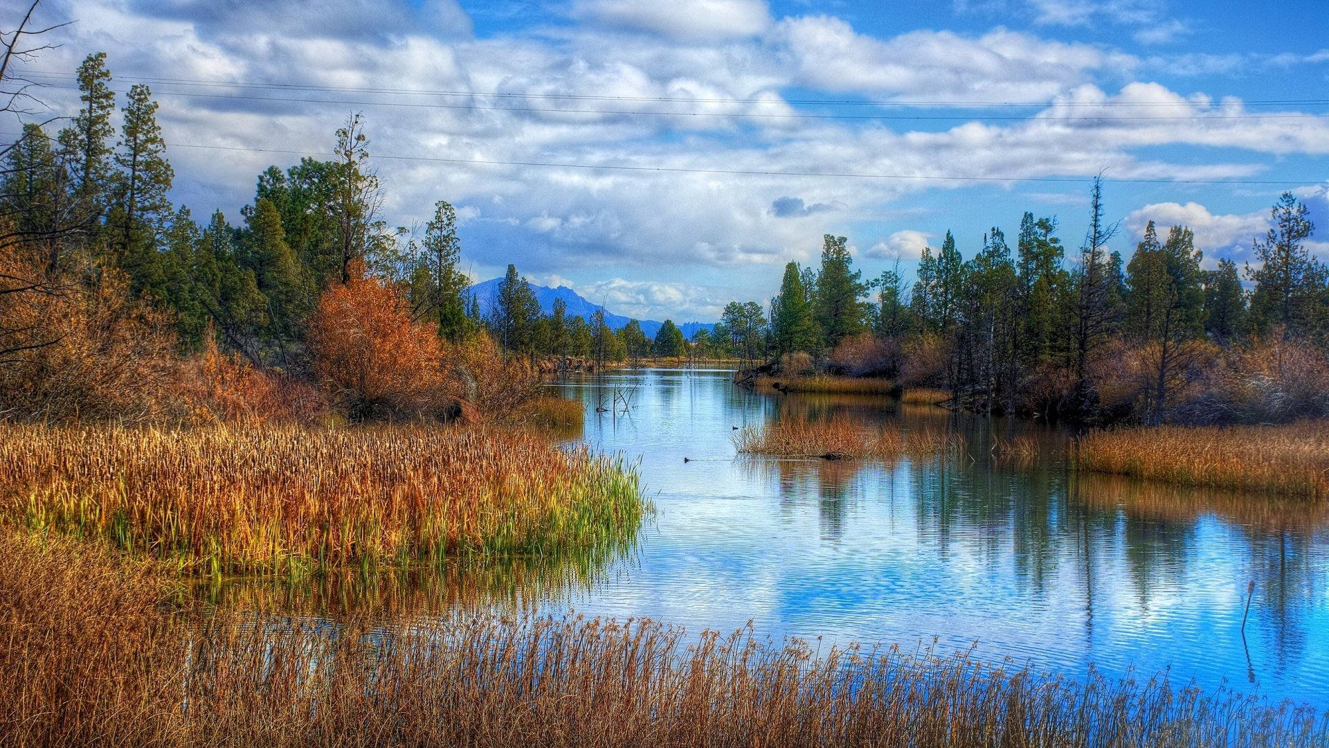 River Nature Scenery