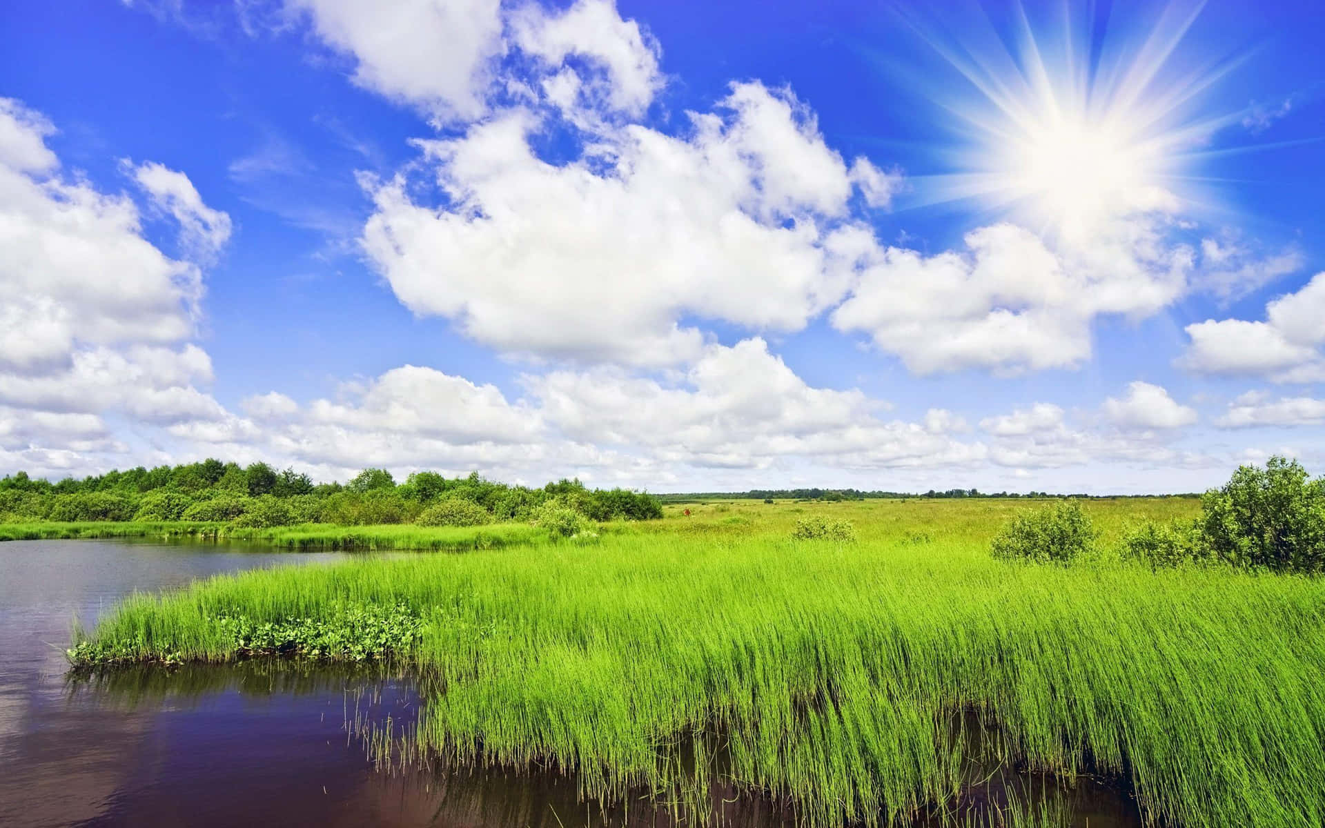 River On A Sunny Summer Day Background