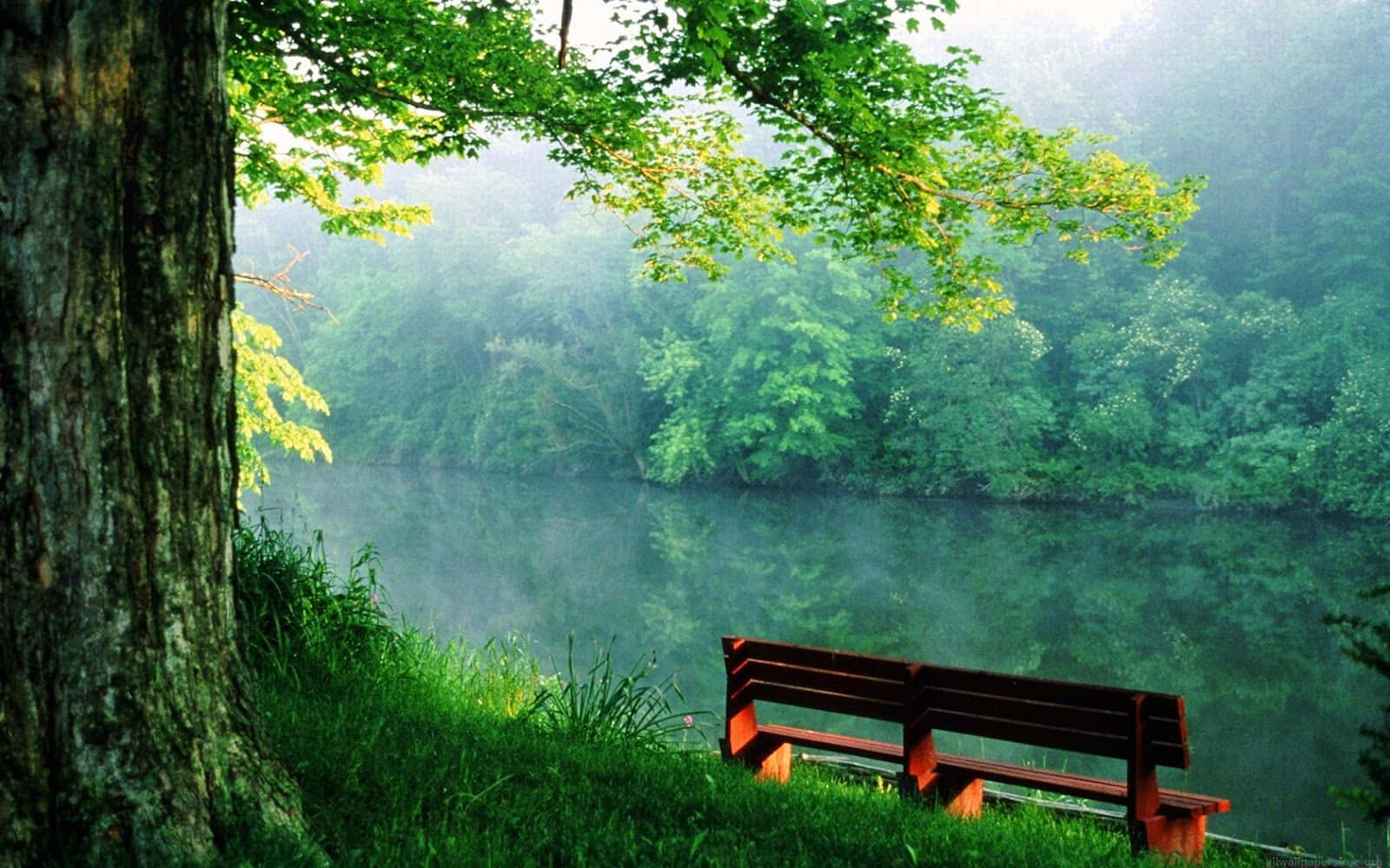 River Park Bench Nature Photography Background