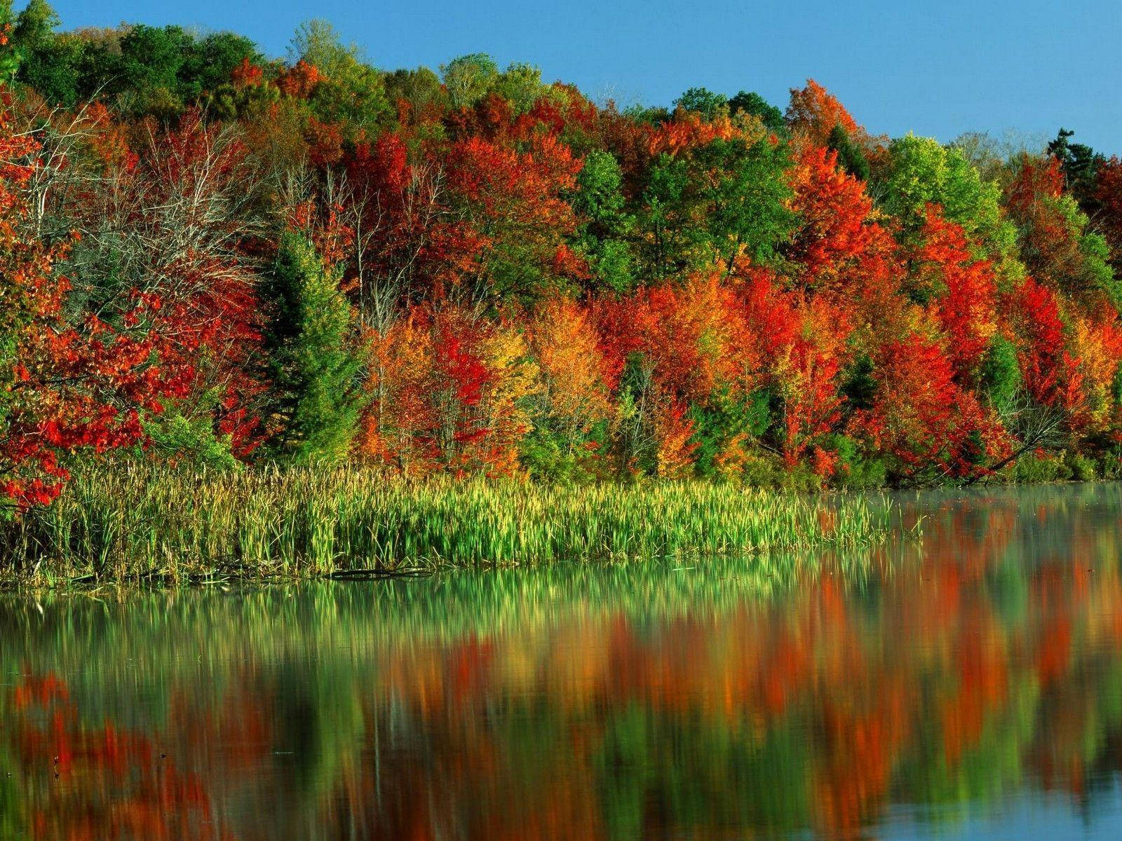 River Showing Seasons Background