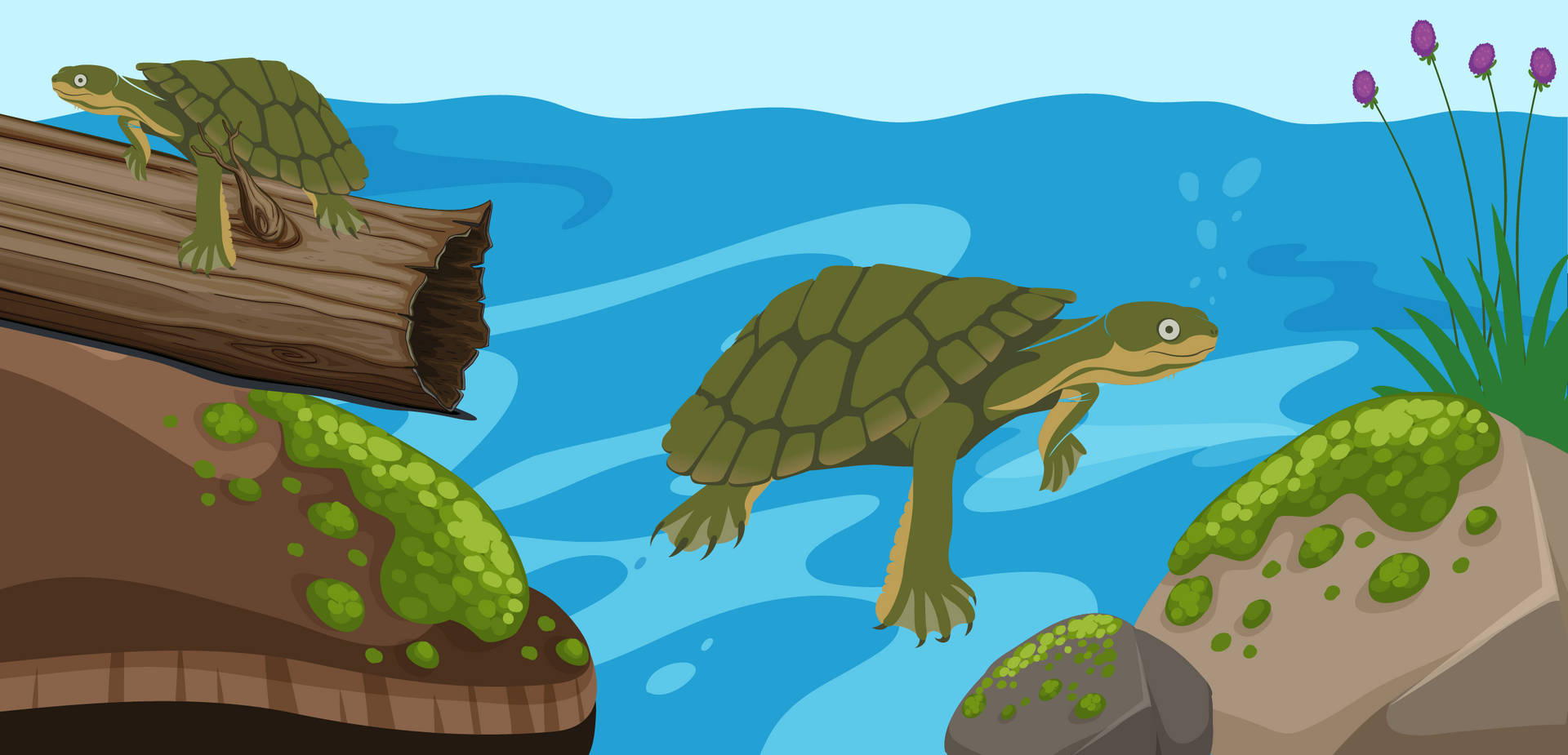 River Water Turtle Cartoon Background