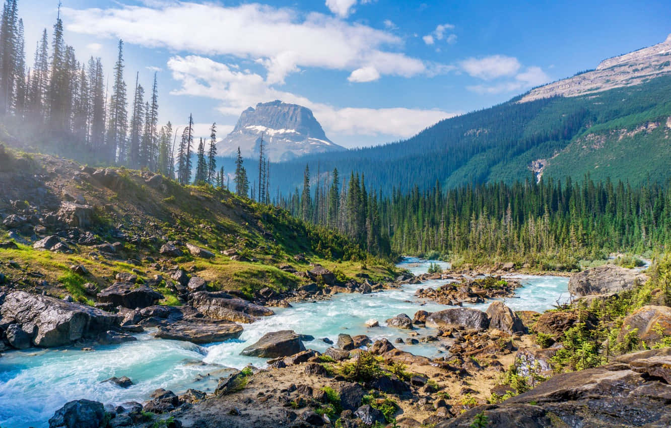 River Yoho National Park Of Canada Photography Background