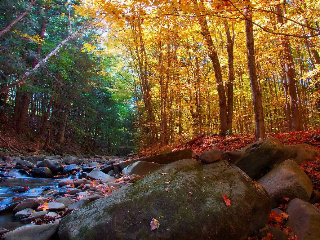 Riverbed During Seasons Background