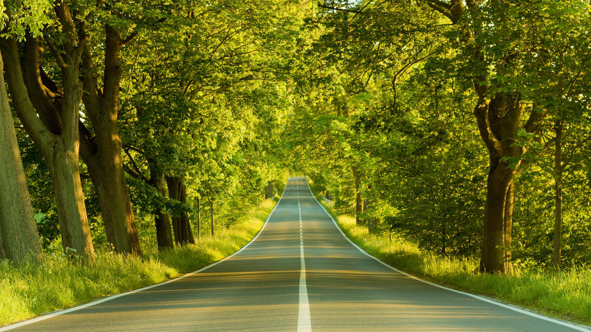 Road 3d Nature Background
