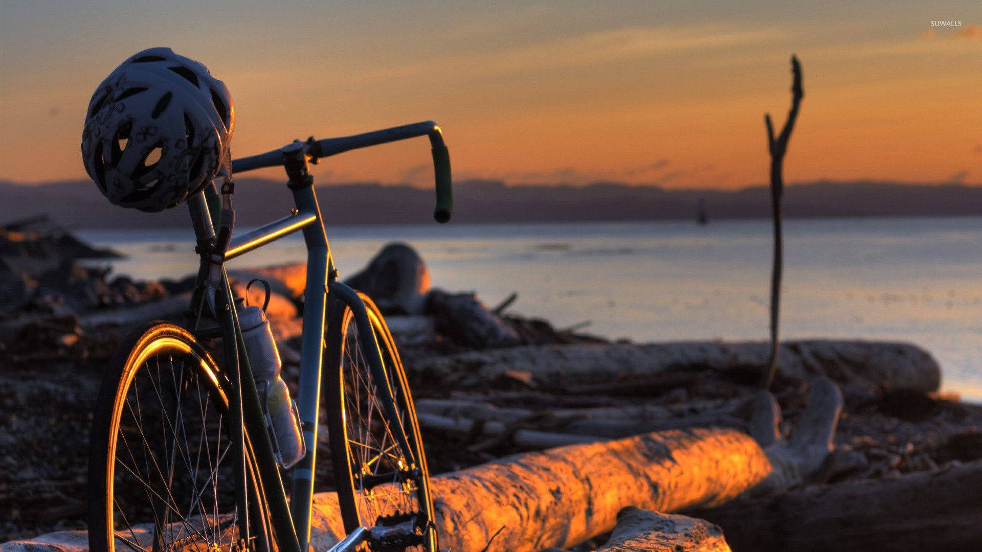 Road Bike In Seashore Fallen Tree Background