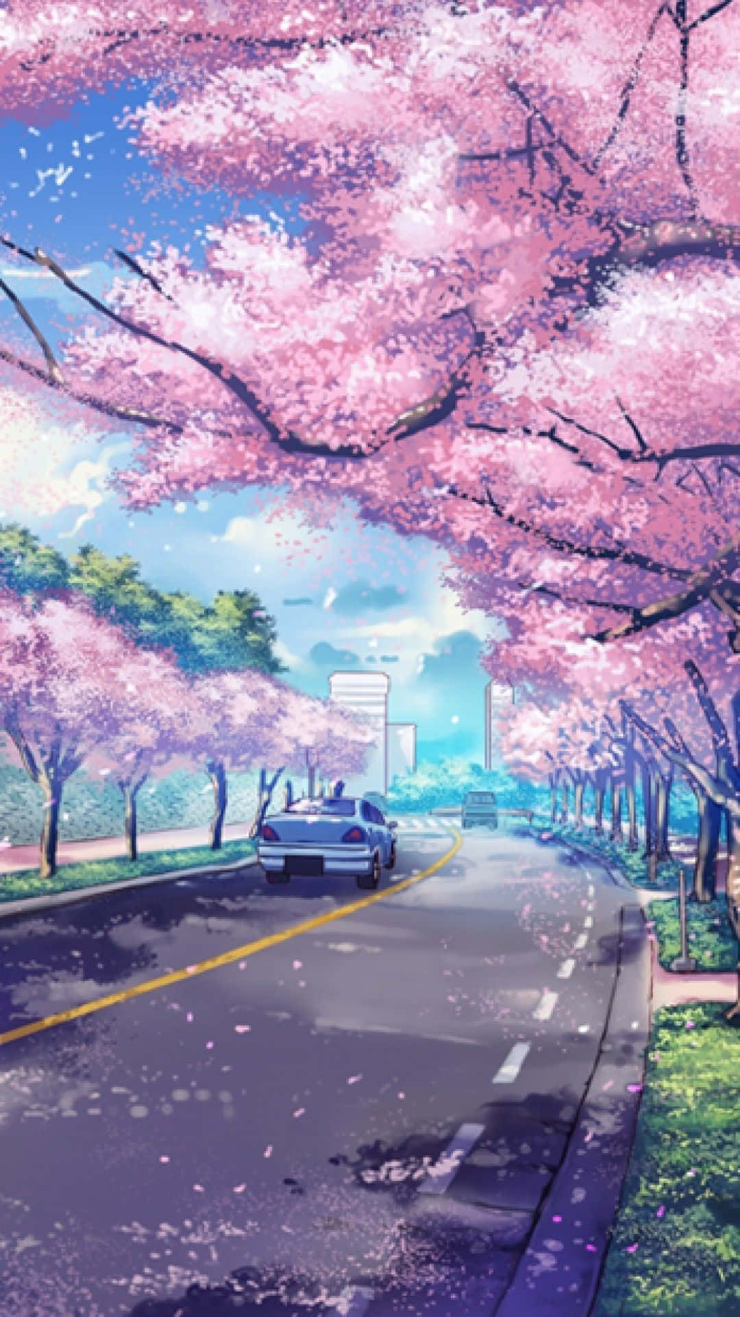 Road During Spring Season With Sakura Anime Trees Background