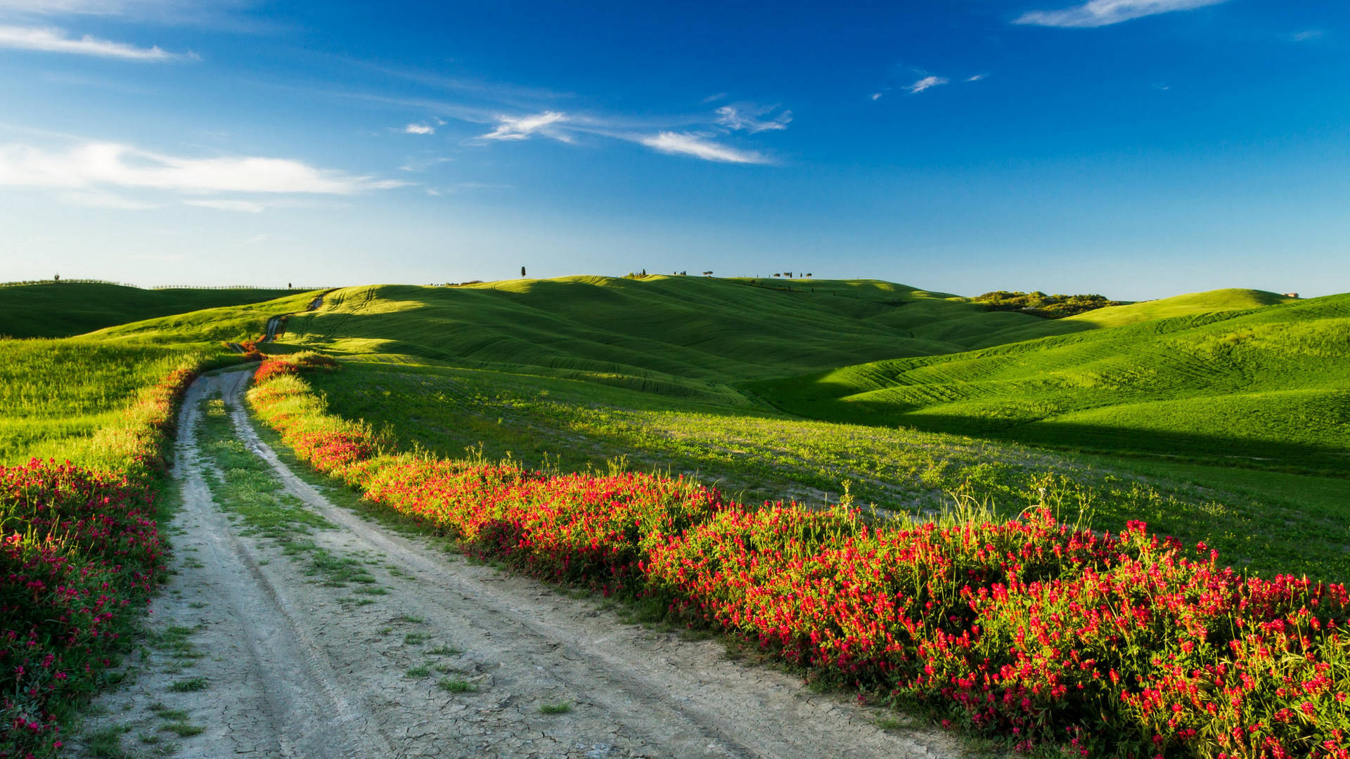 Road In Tuscany Italy Desktop Background