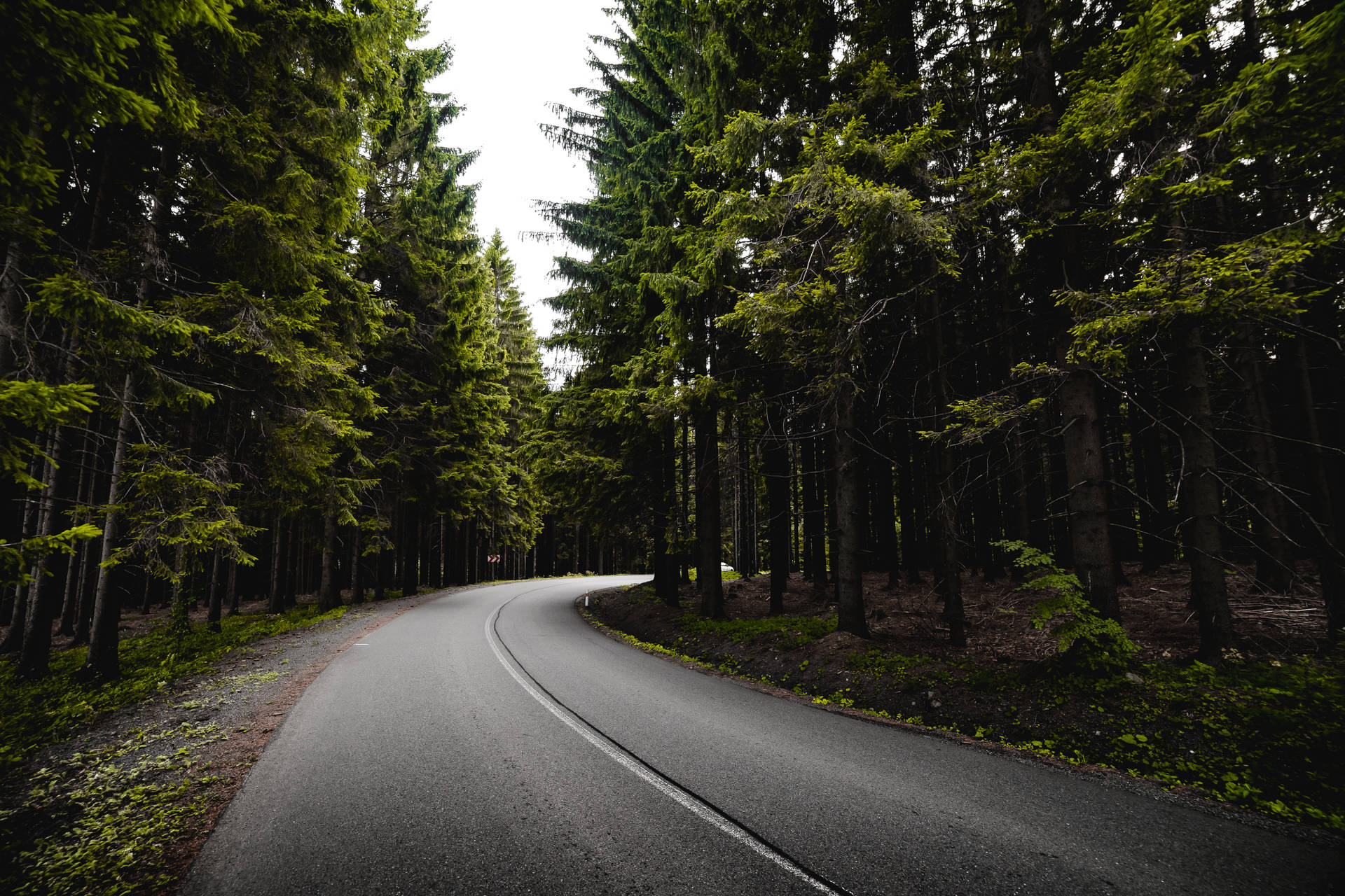 Road Surrounded By Dark Forest Iphone Background