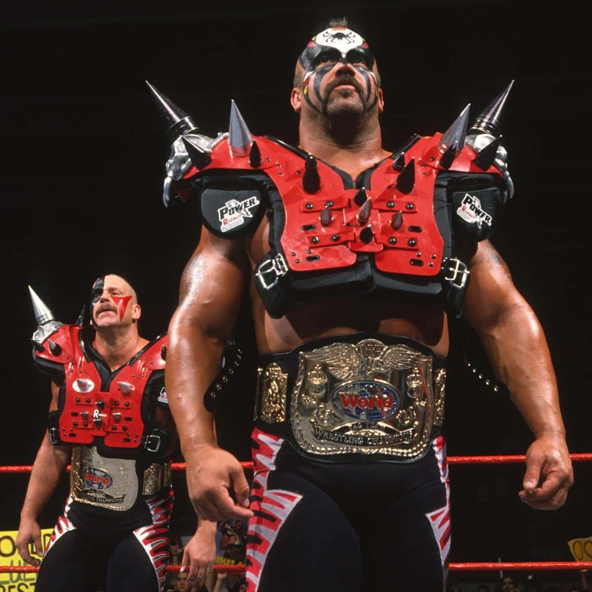 Road Warrior Hawk Tag Team Champions Background