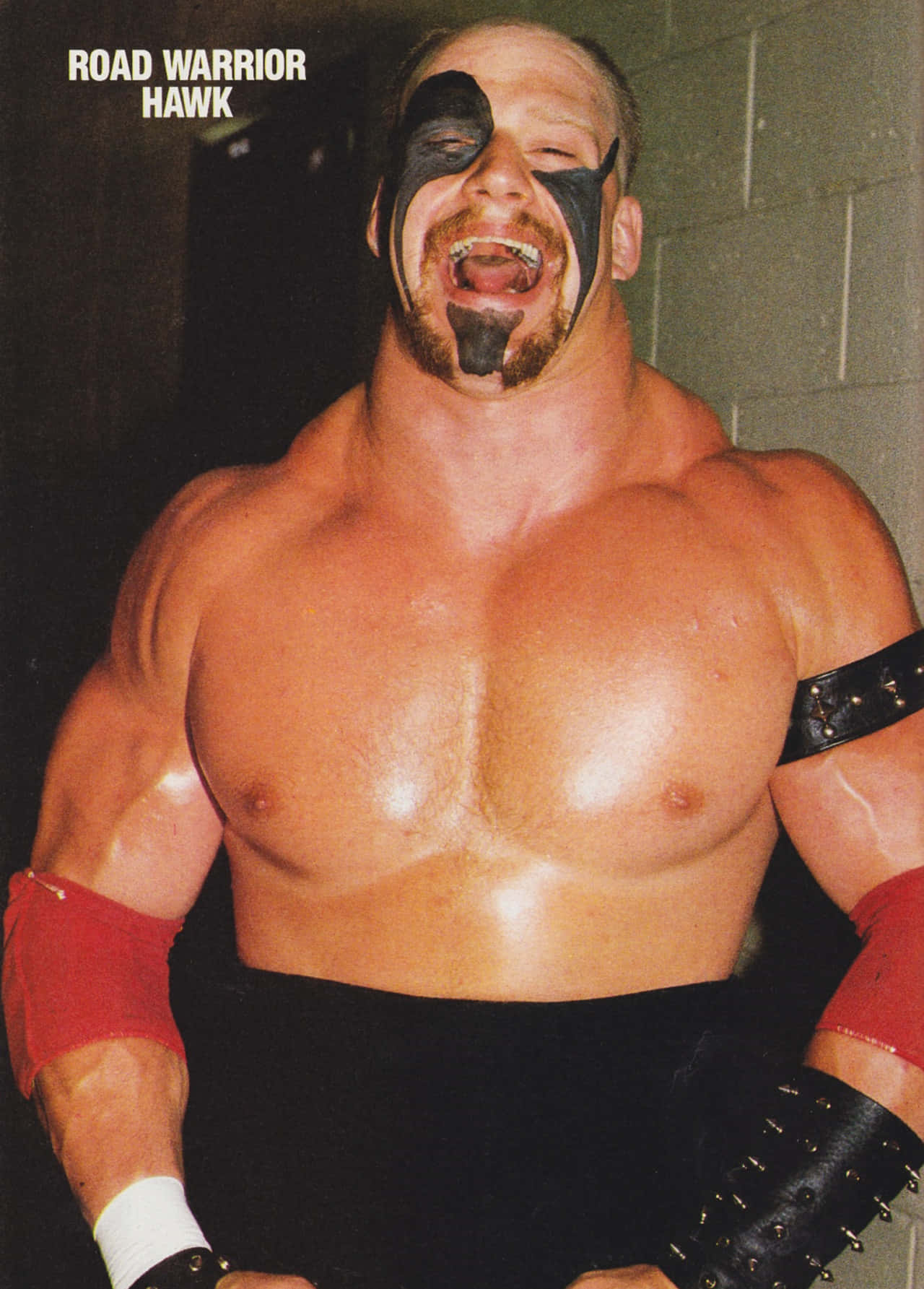 Road Warrior Hawk Wrestling Icon Background