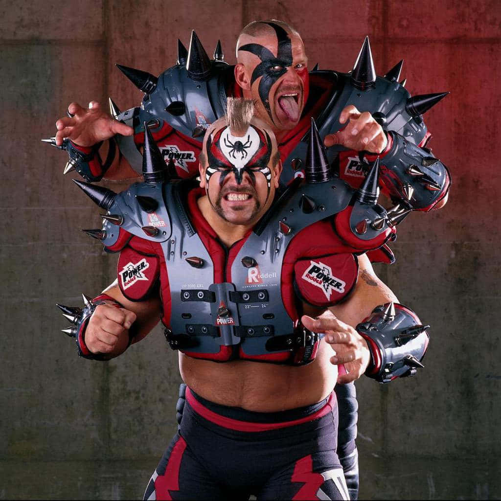 Road Warriors Wrestling Team Background