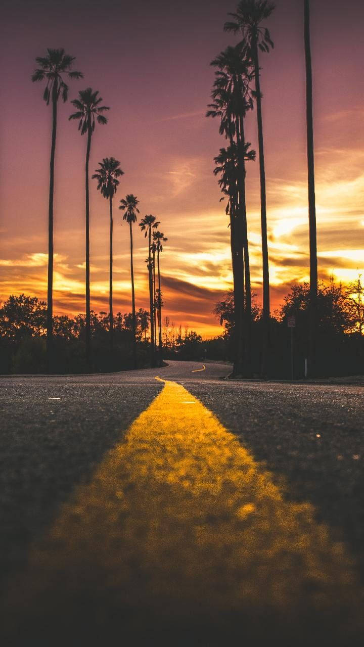 Road With Palm Trees Malibu Iphone Background