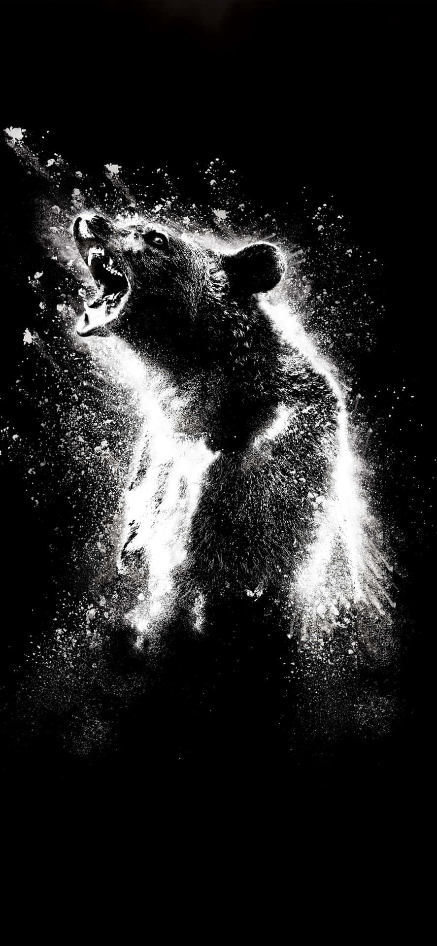 Roaring Bear Water Explosion Art Background