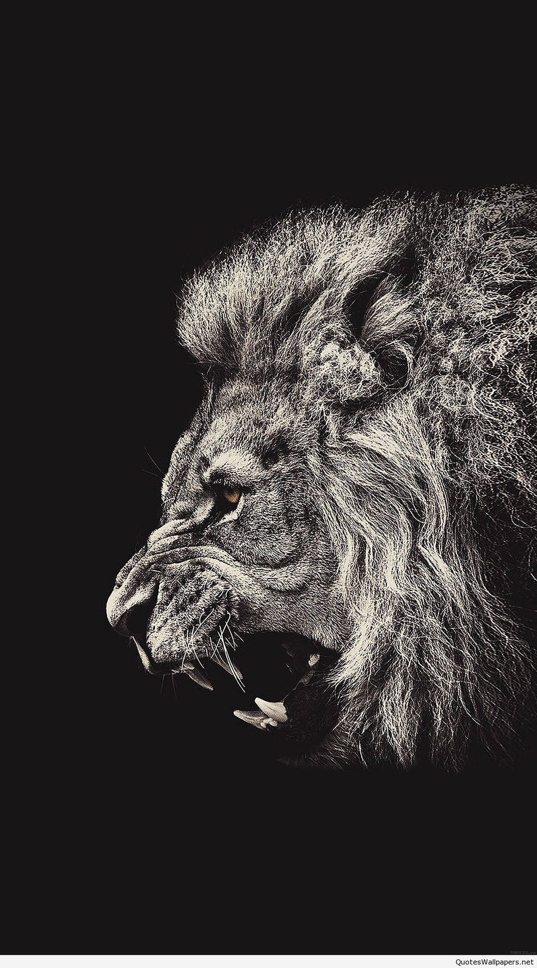 Roaring Lion Art Iphone Background