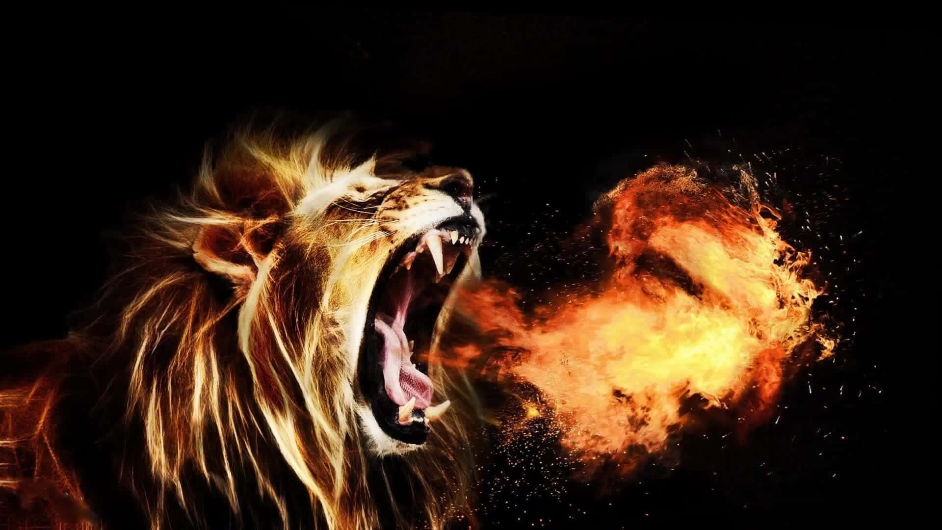 Roaring Lion Breathing Fire Background